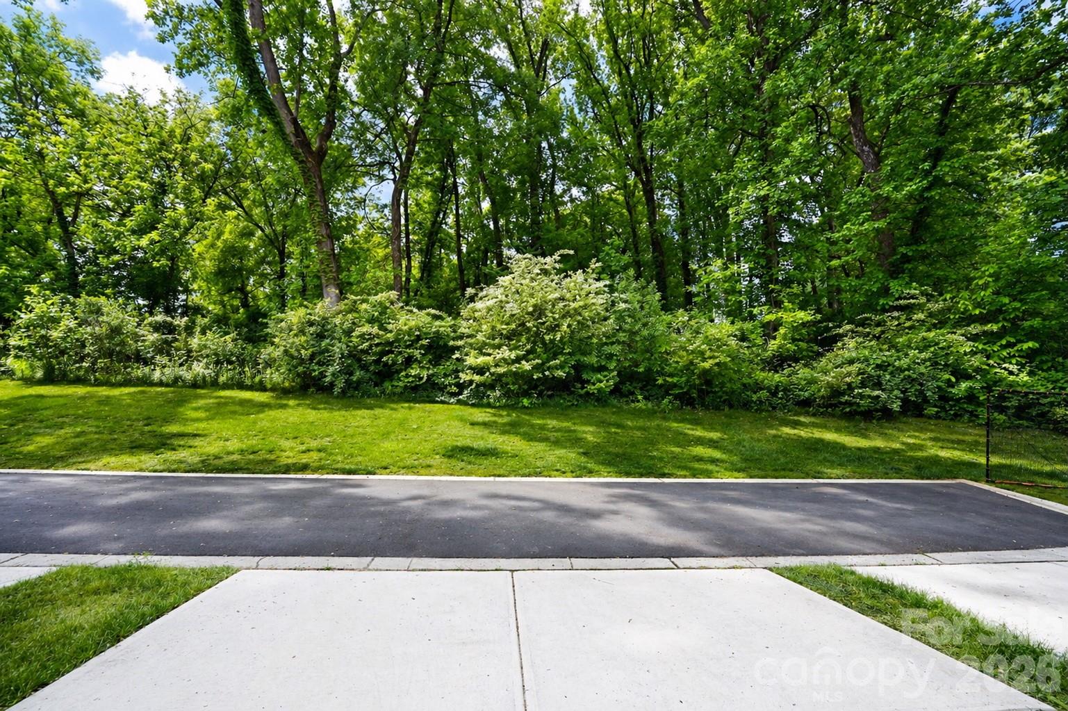 12008 John Newton Drive — Davidson