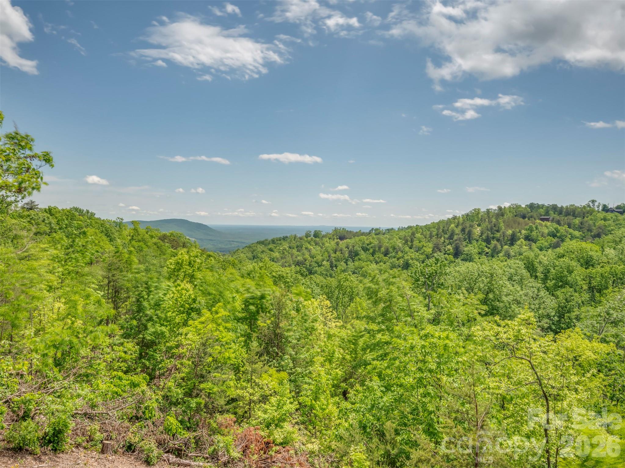 202 Fall Creek Drive — Bostic