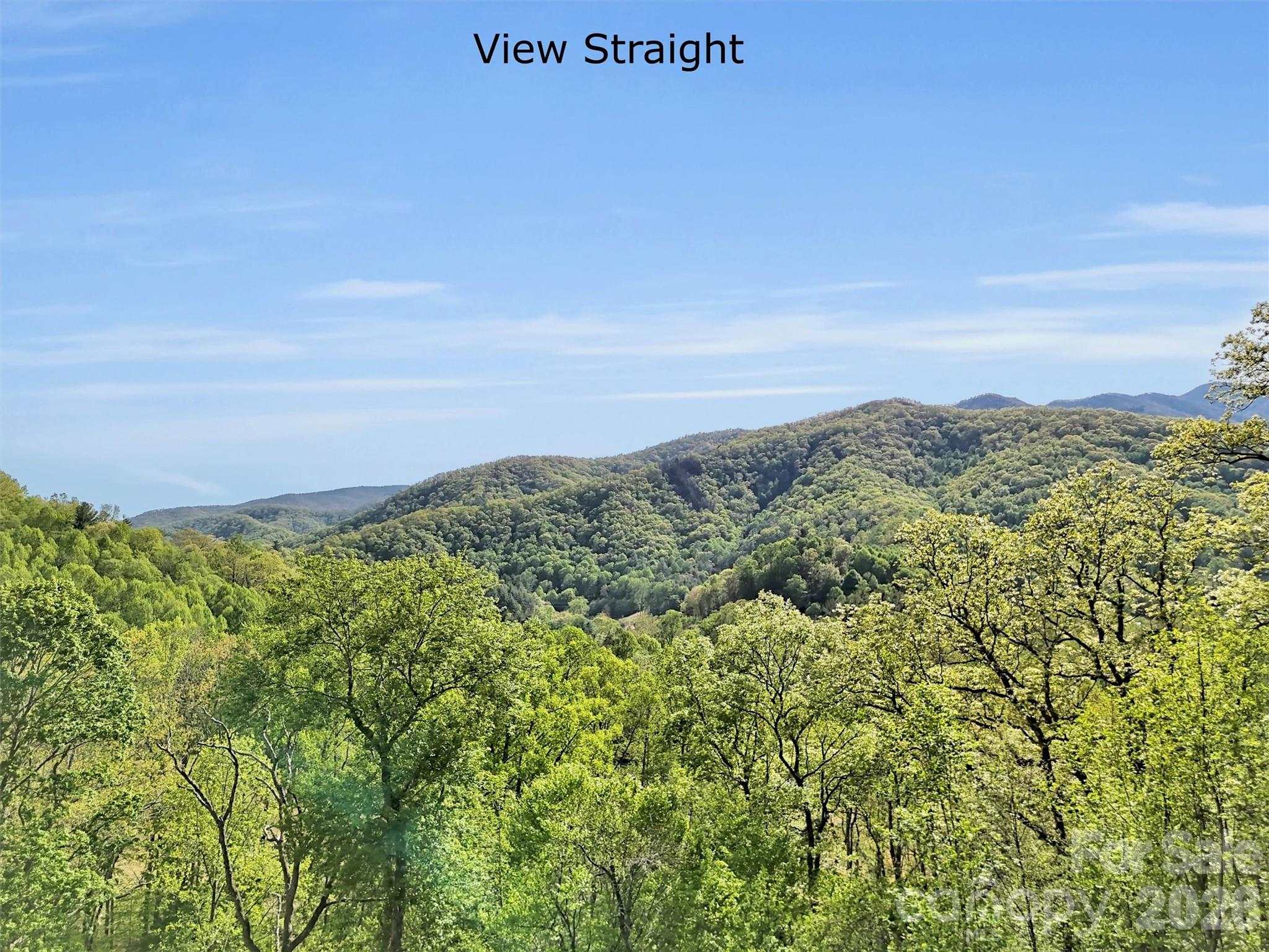 455 Chinquapin Road — Canton
