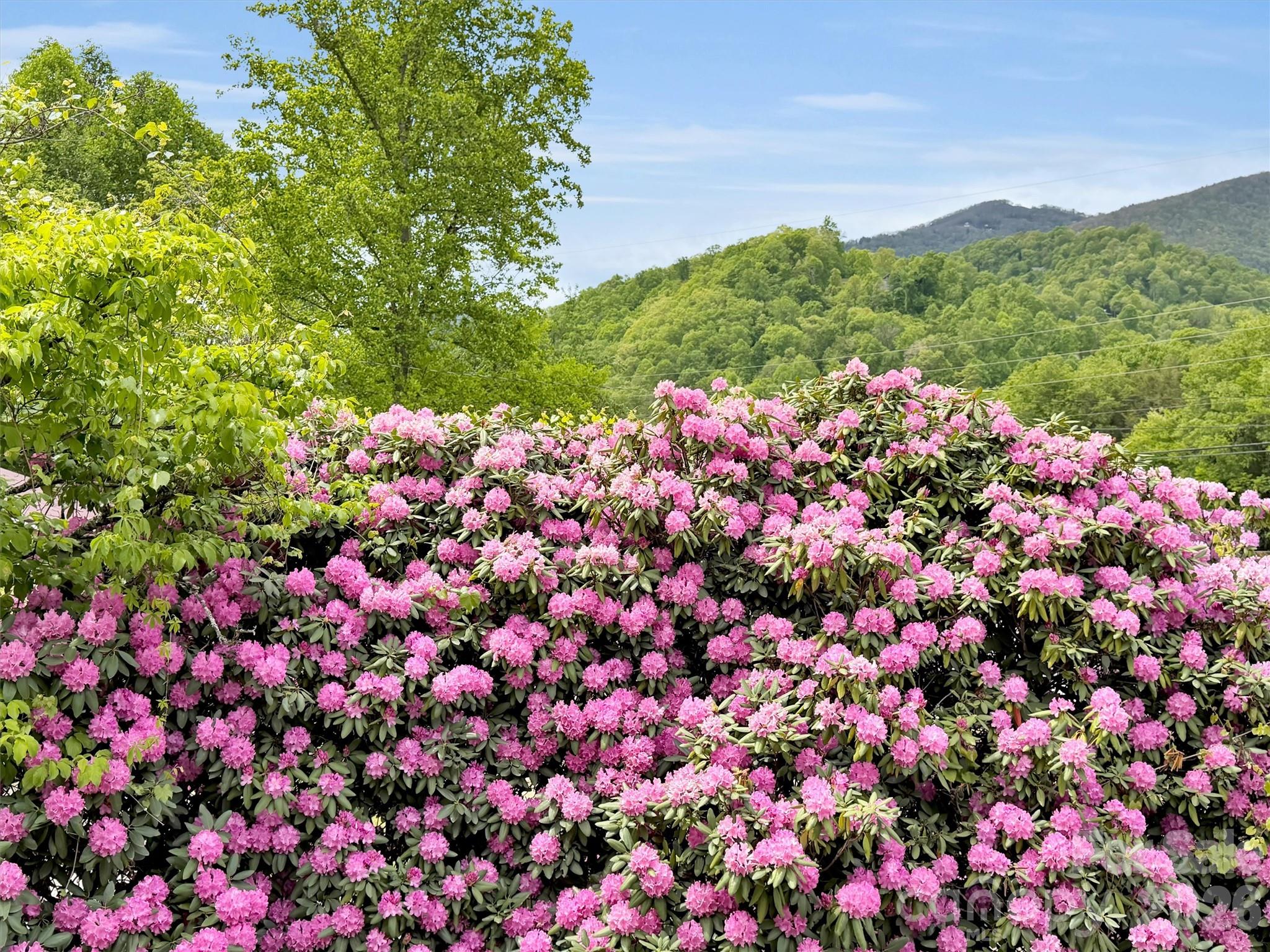 3575 Dellwood Road — Waynesville