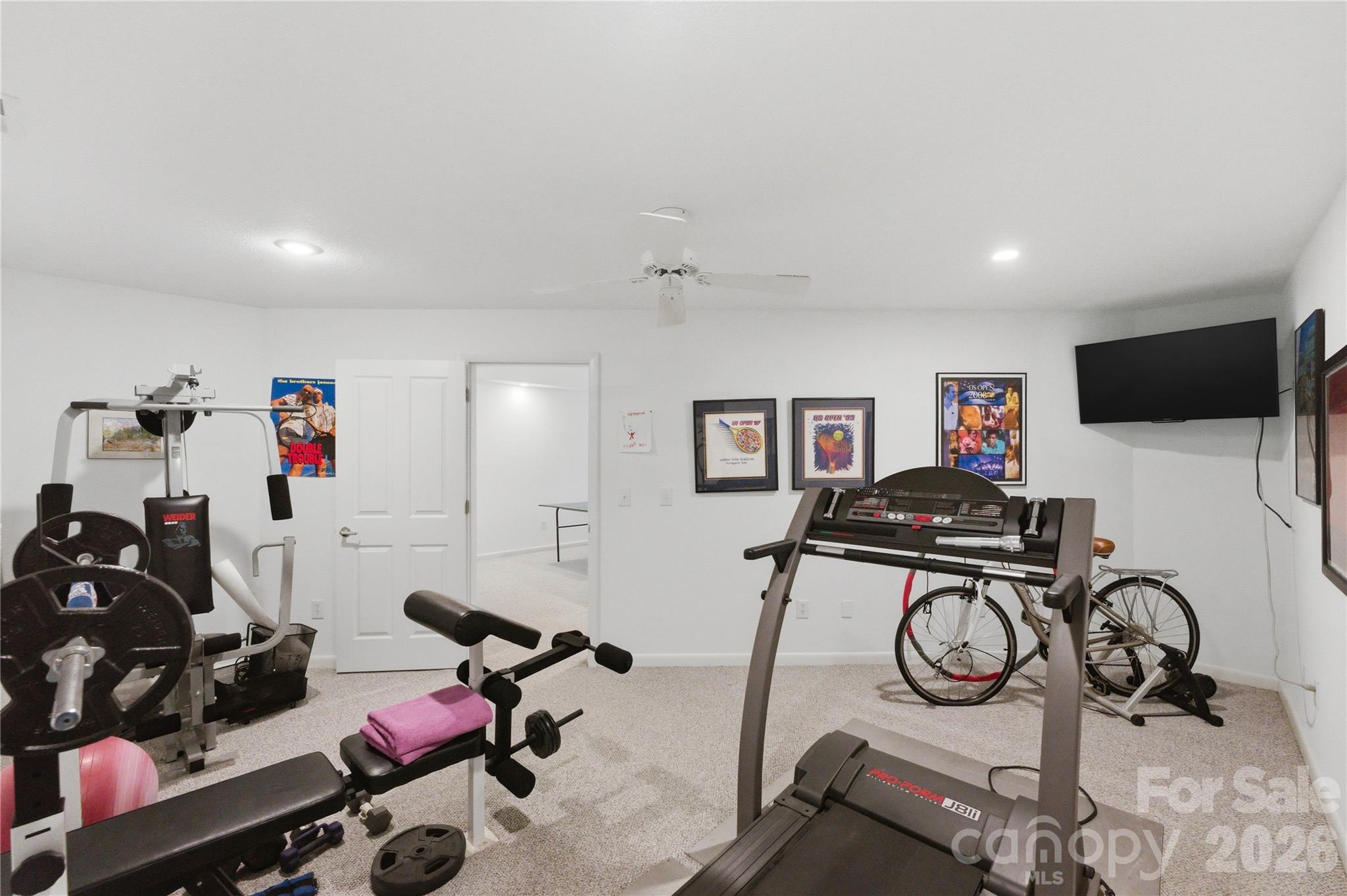 18426 Peninsula Cove Lane — Cornelius