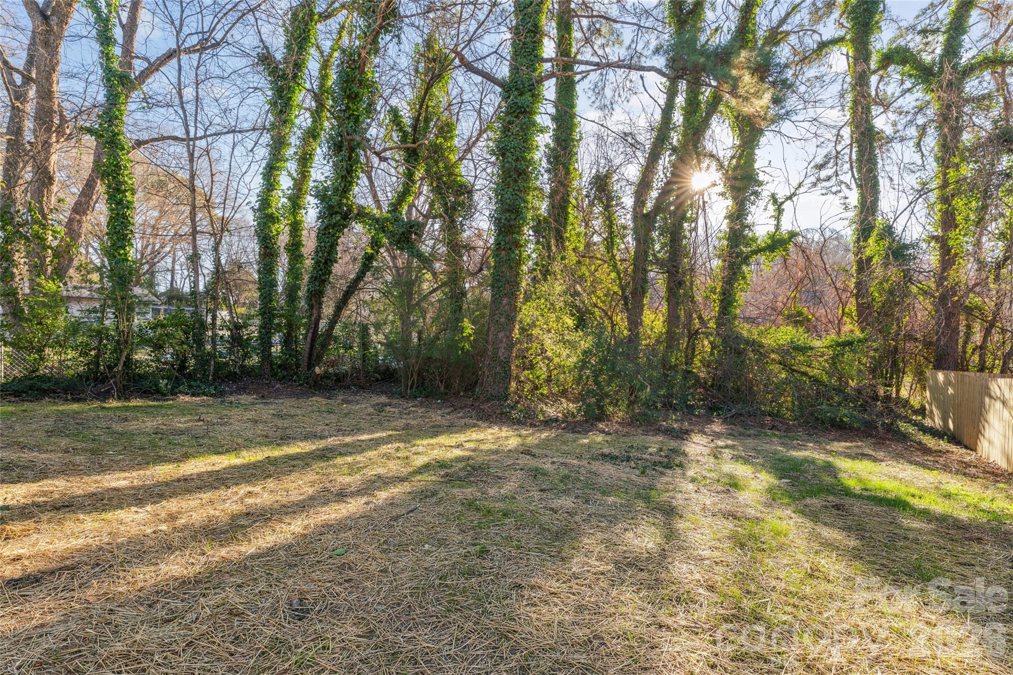 Lot 1 W 11th Street — Salisbury