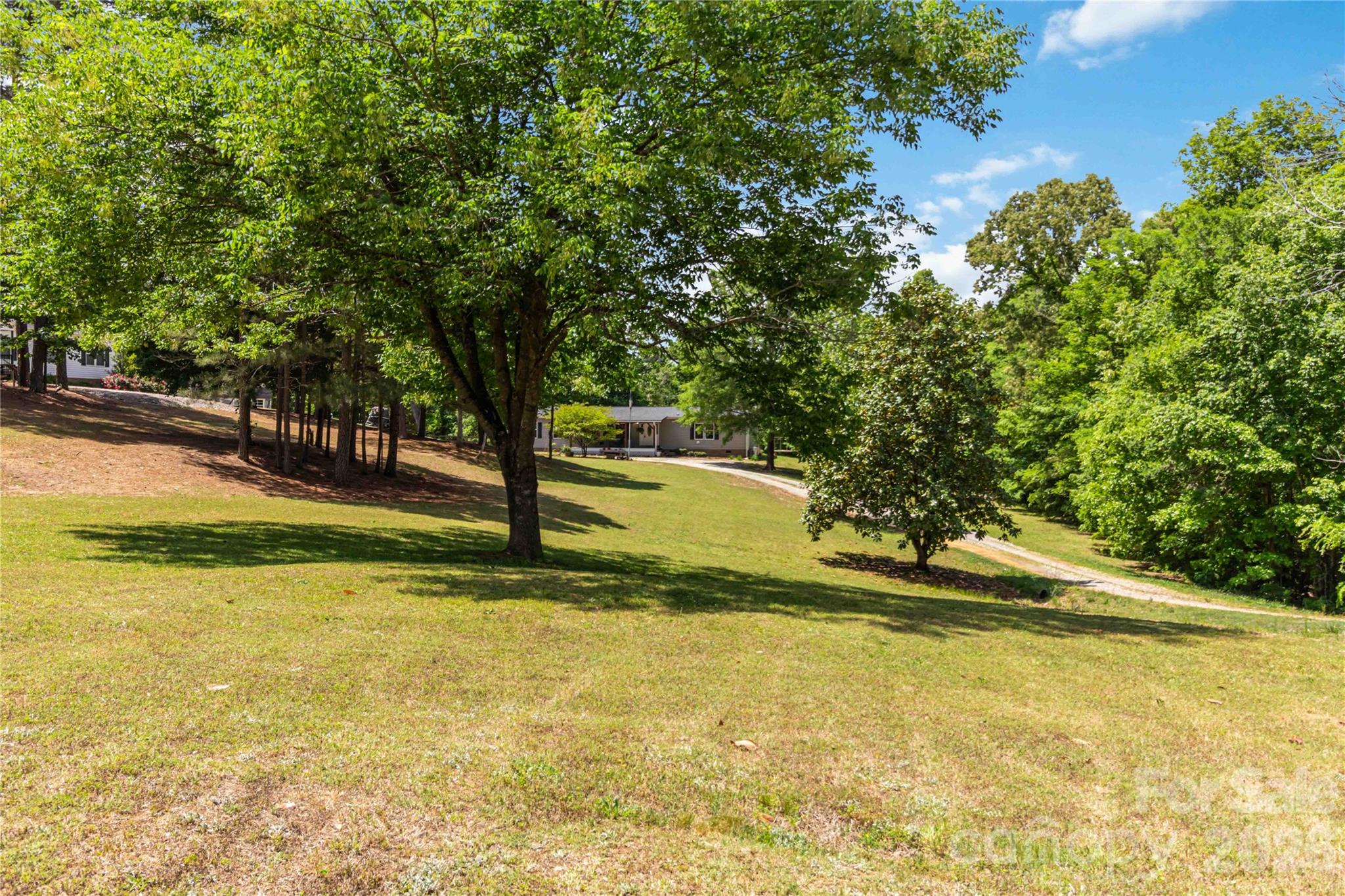 174 Little Pine Drive — Smyrna