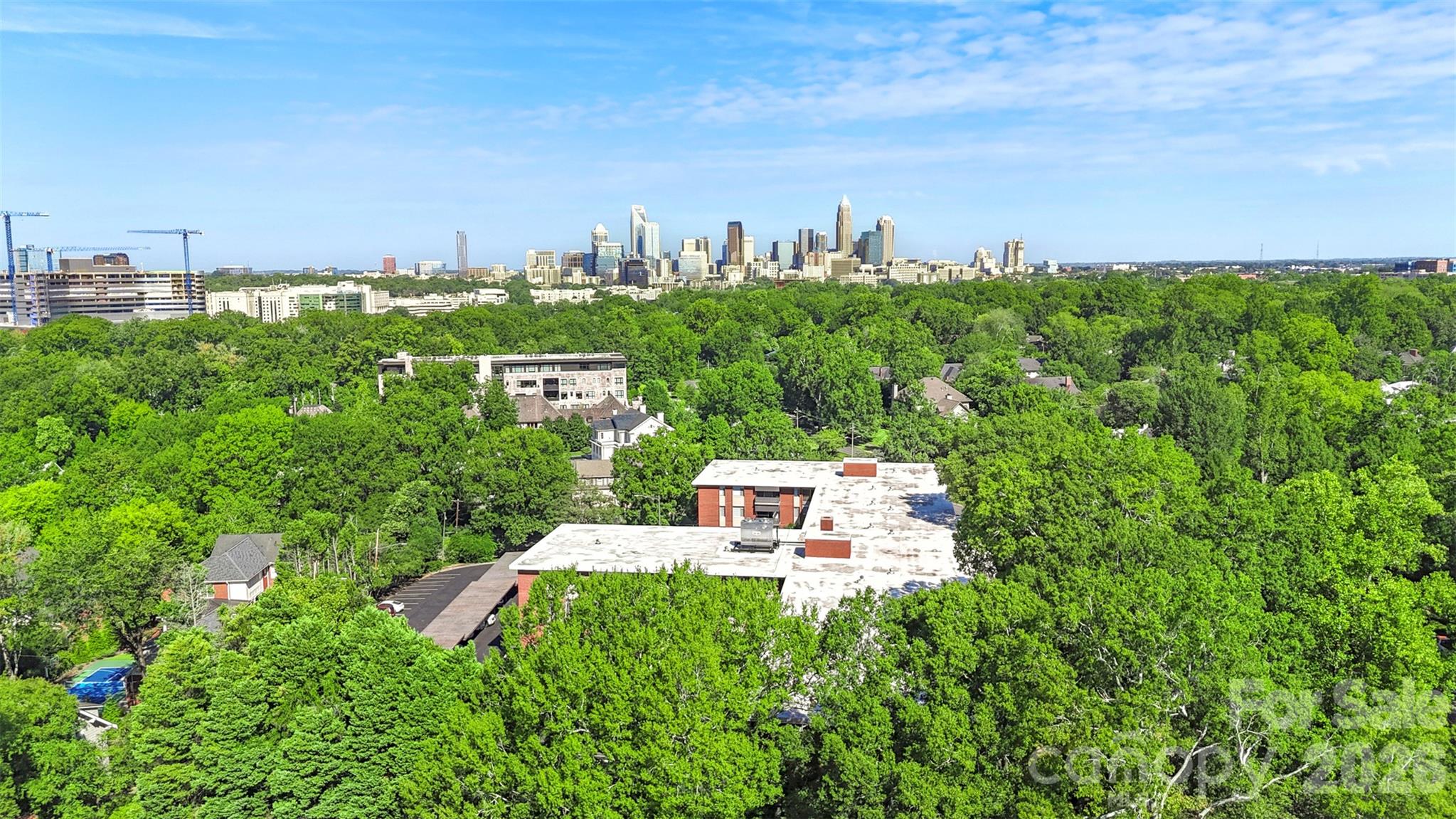1300 Queens Road #402 — Charlotte
