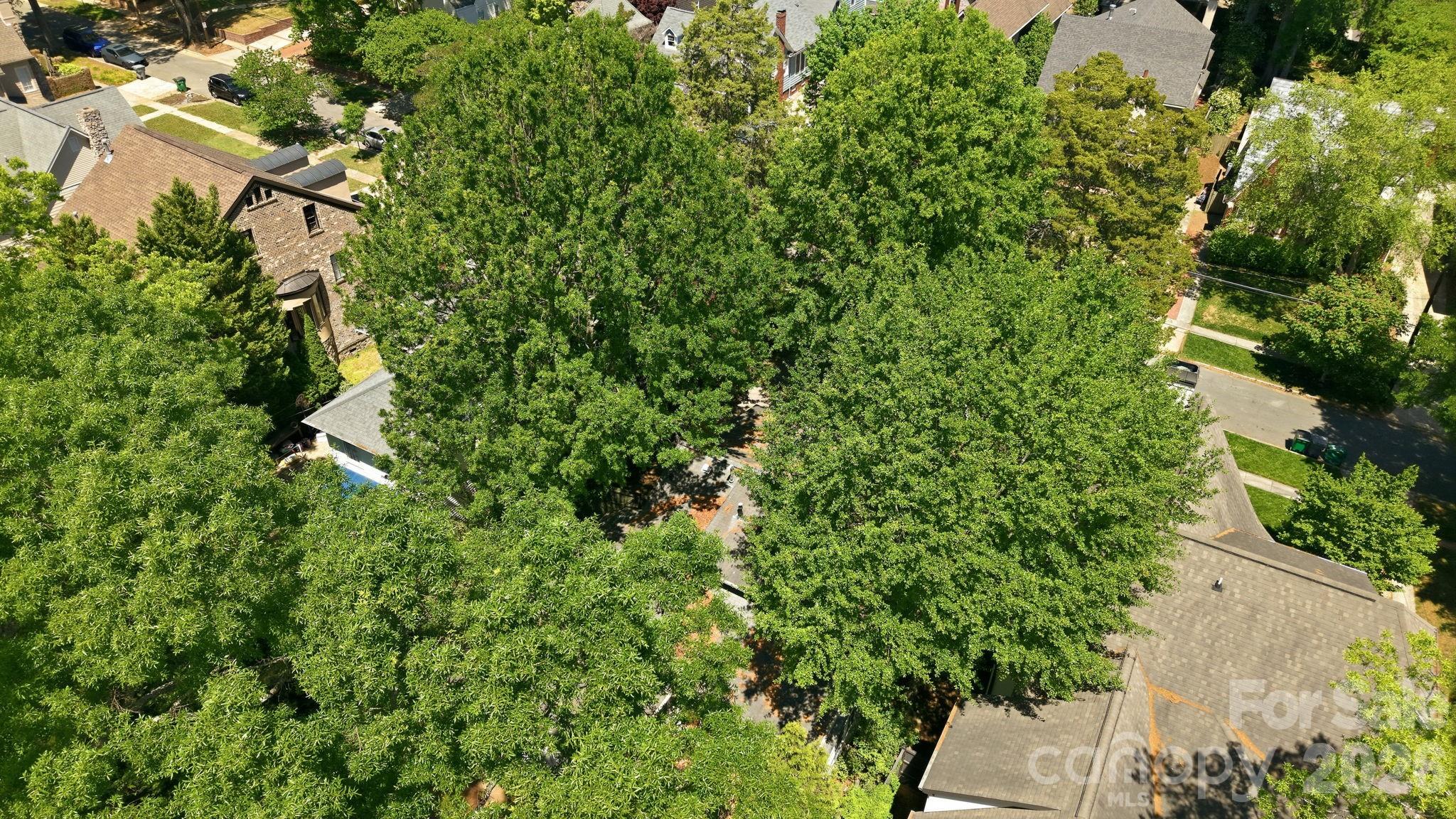 200 Altondale Avenue — Charlotte