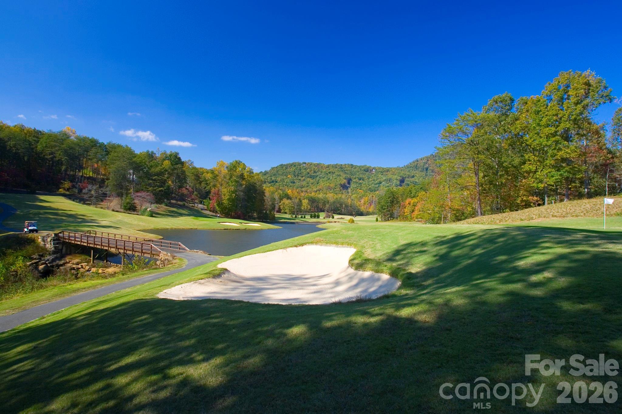 126 Hillside Court — Lake Lure