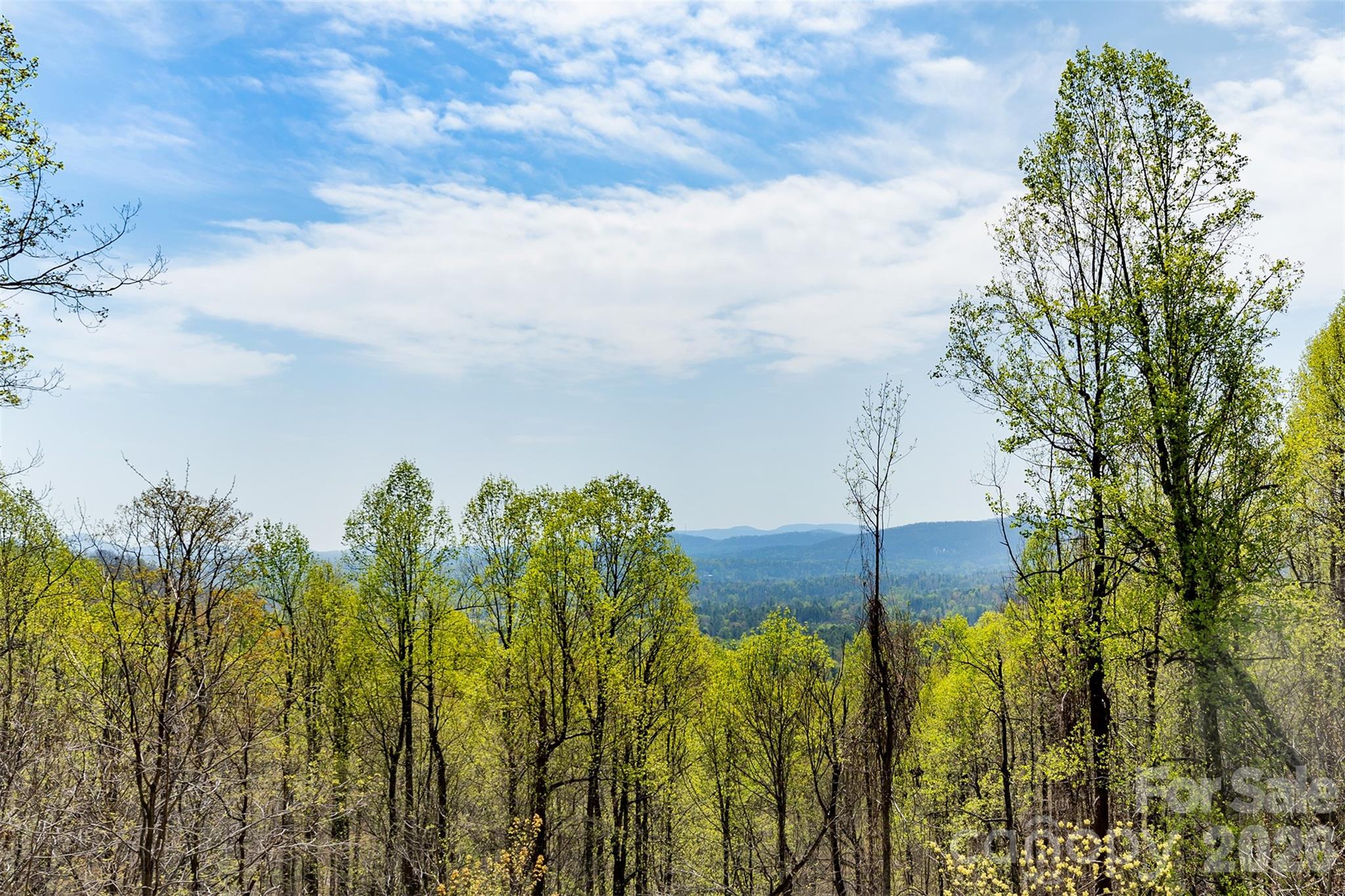 172 Sunny Ridge Road — Hendersonville