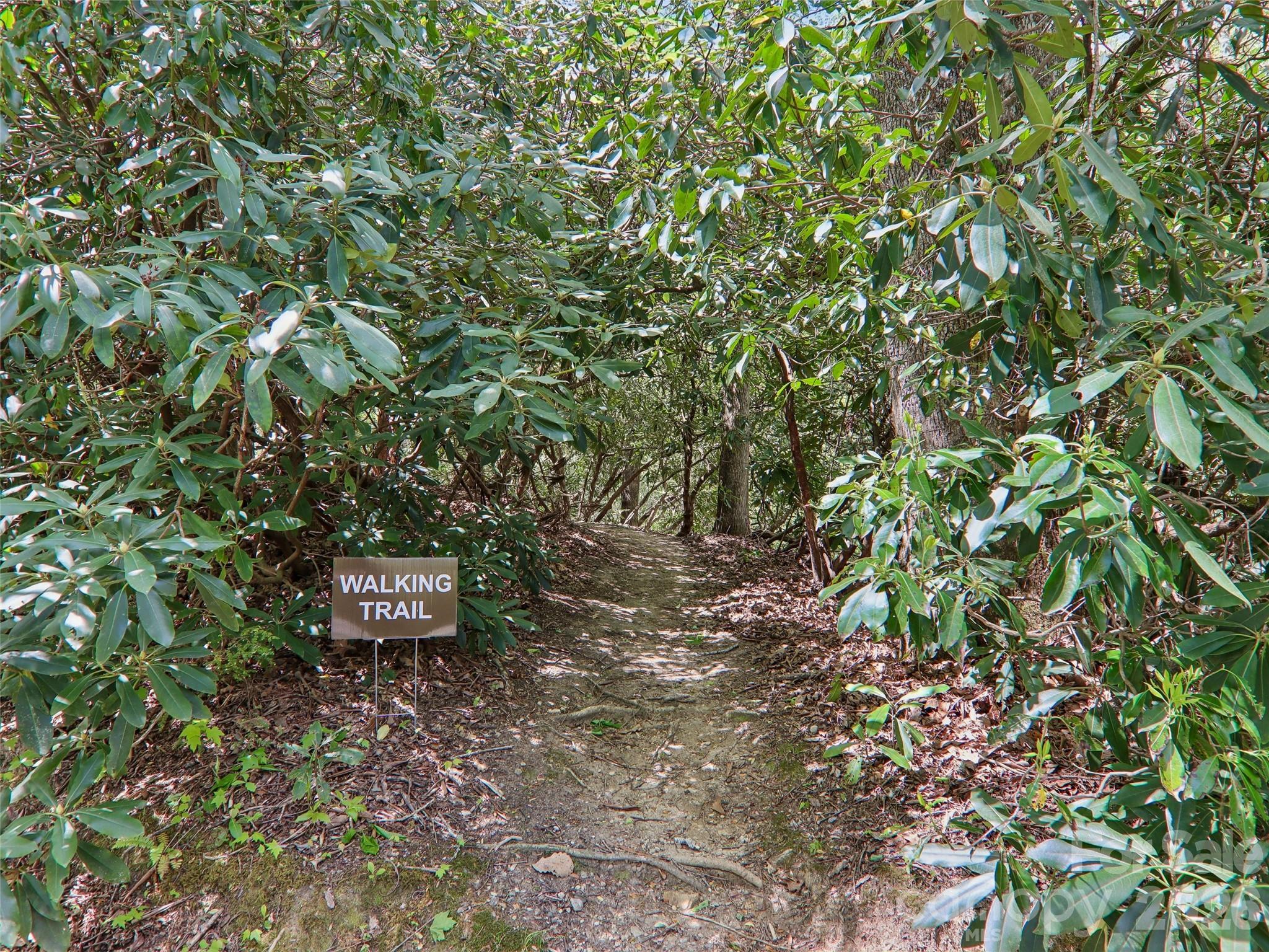 554 Pisgah Forest Drive — Pisgah Forest