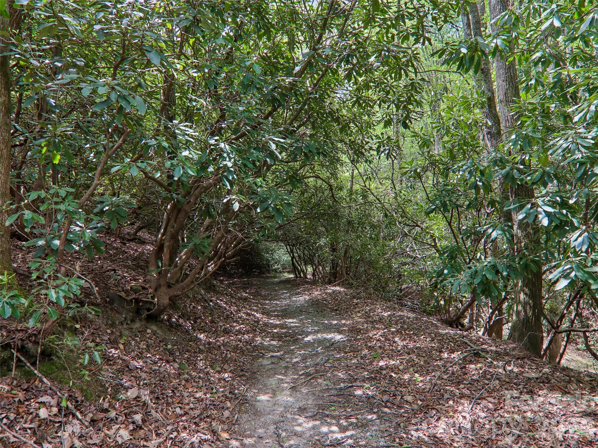 554 Pisgah Forest Drive — Pisgah Forest
