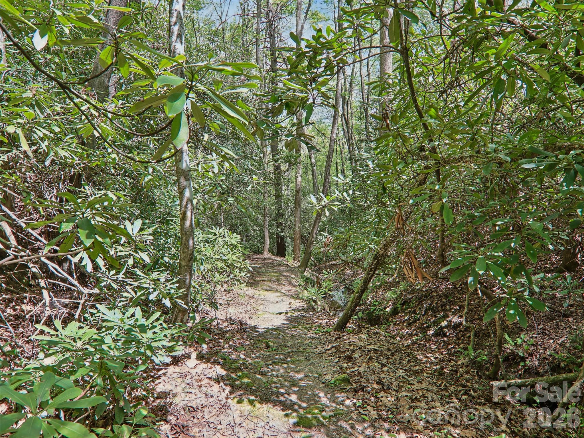 554 Pisgah Forest Drive — Pisgah Forest