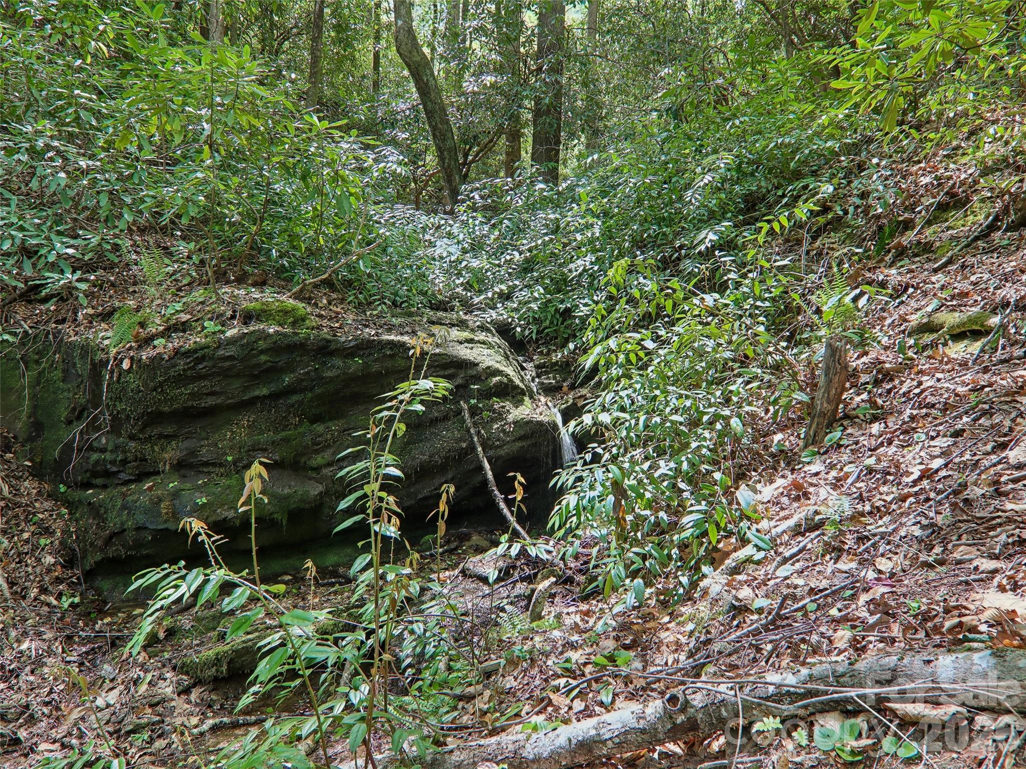 554 Pisgah Forest Drive — Pisgah Forest