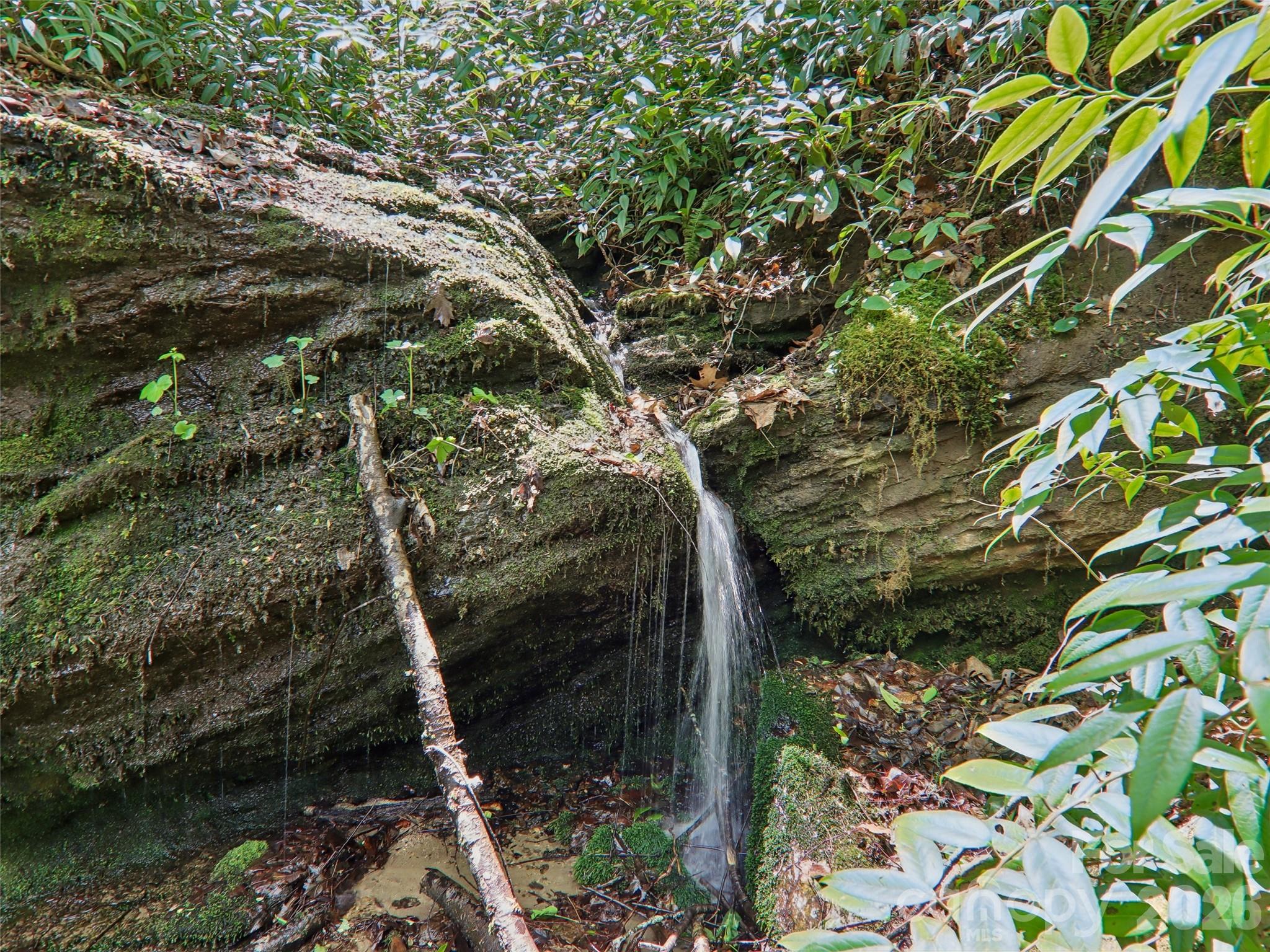 554 Pisgah Forest Drive — Pisgah Forest