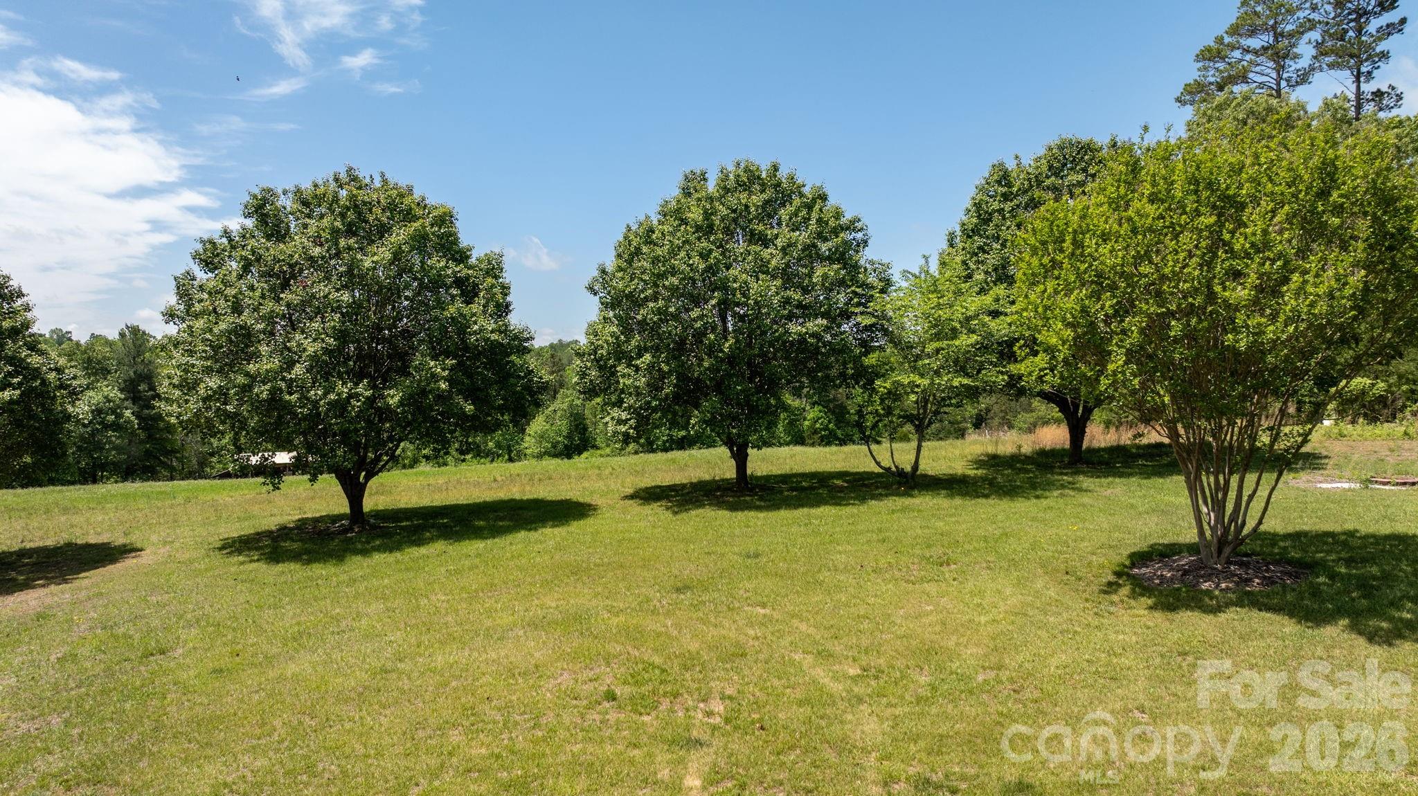 7008 Peyronel Street — Connelly Springs