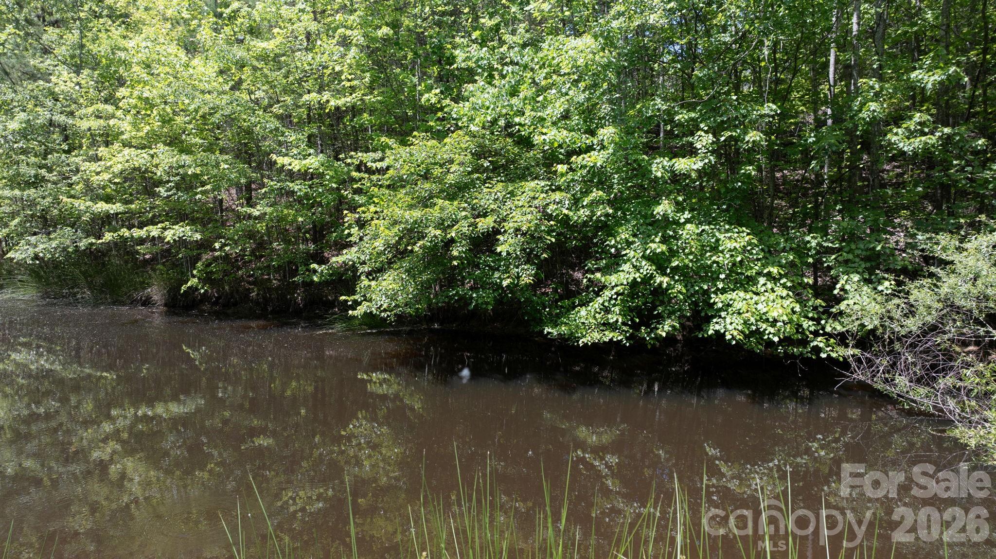 7008 Peyronel Street — Connelly Springs