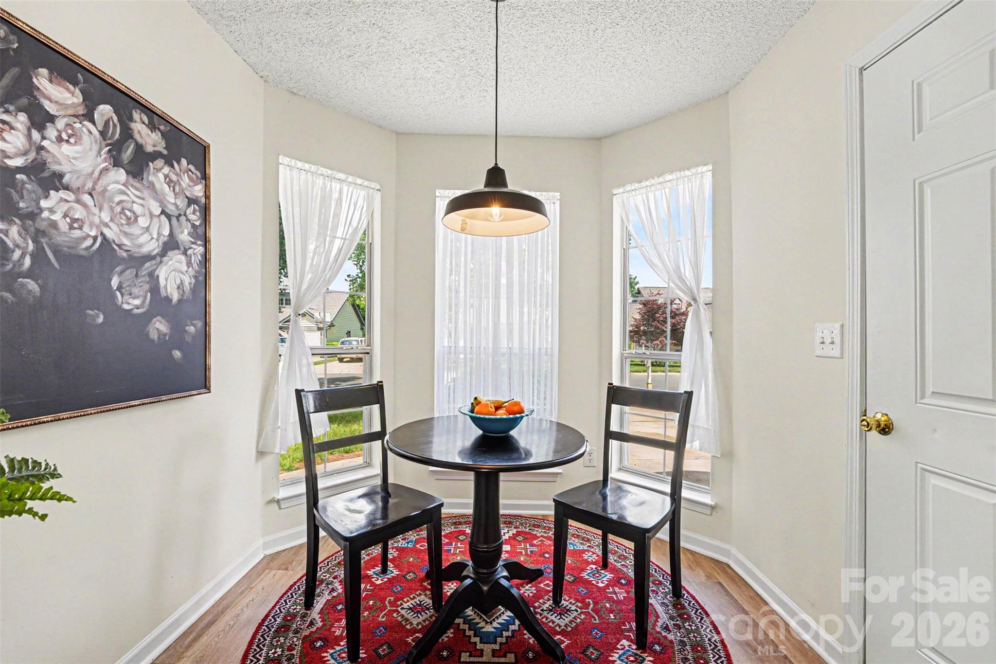 258 Indian Paint Brush Drive — Mooresville