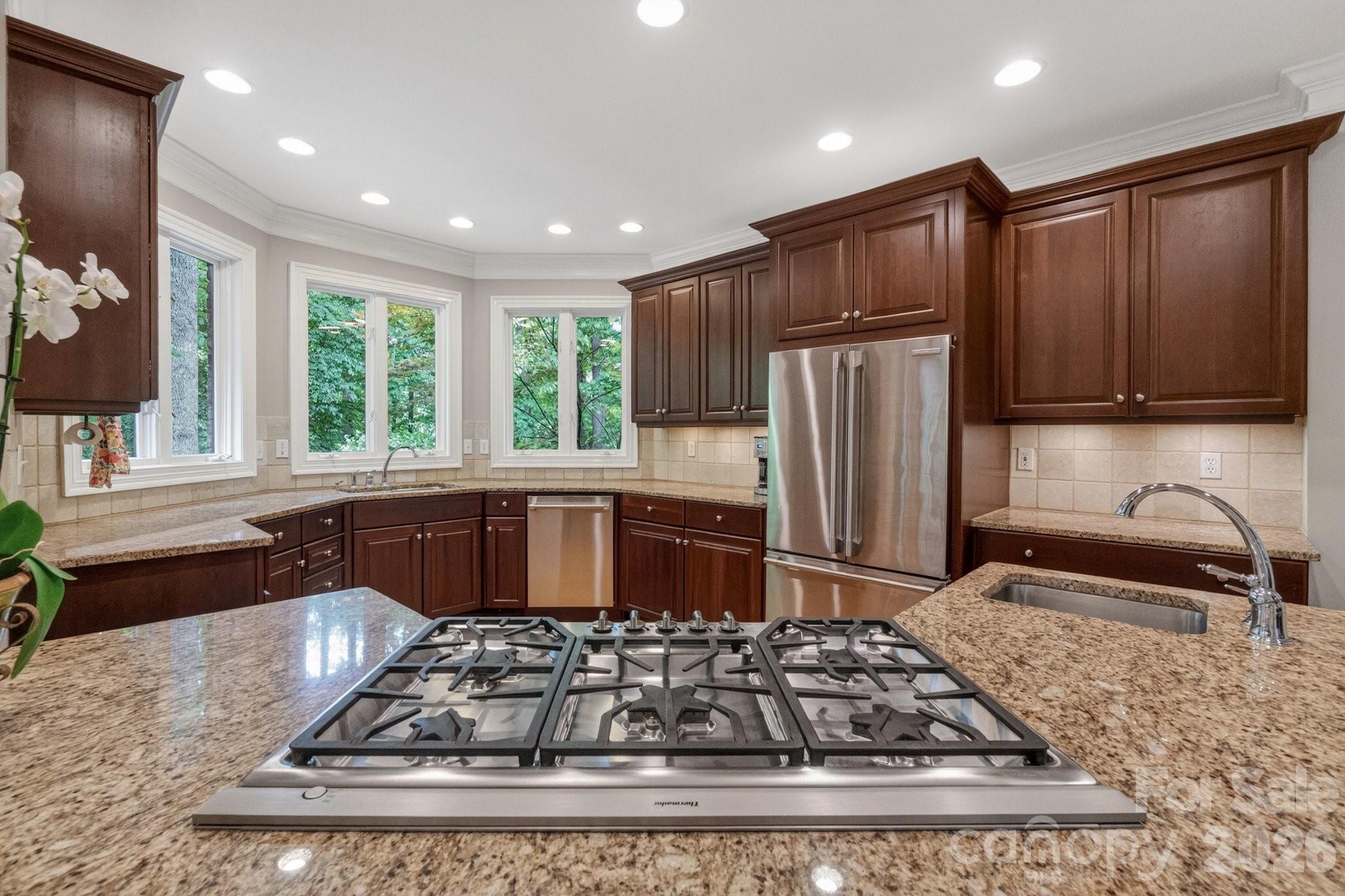 20001 Callaway Hills Lane — Davidson
