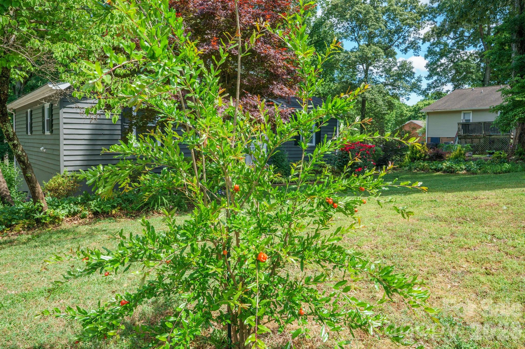 2078 Rock Springs Circle — Denver