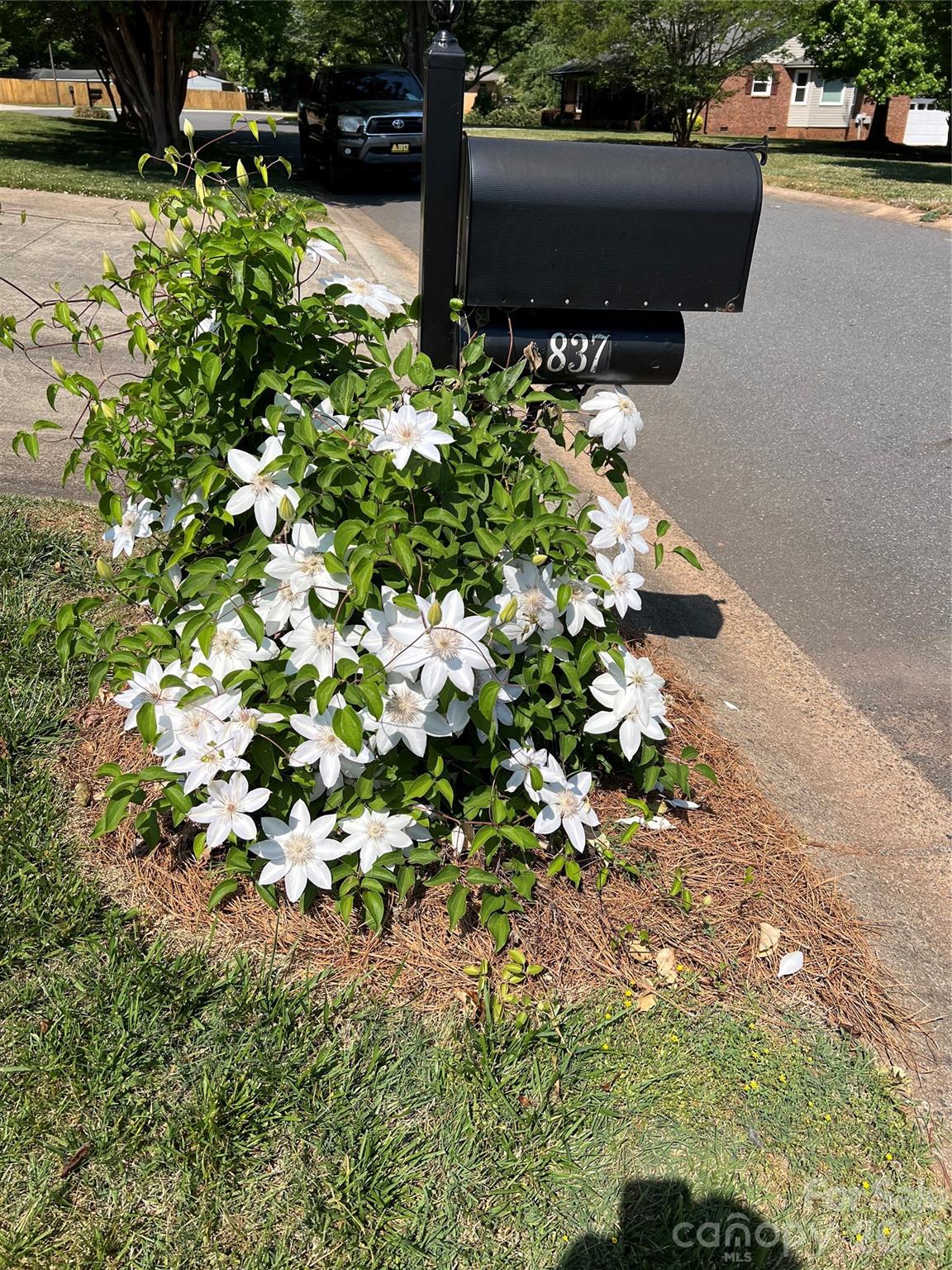 837 Deerfield Drive — Mount Holly