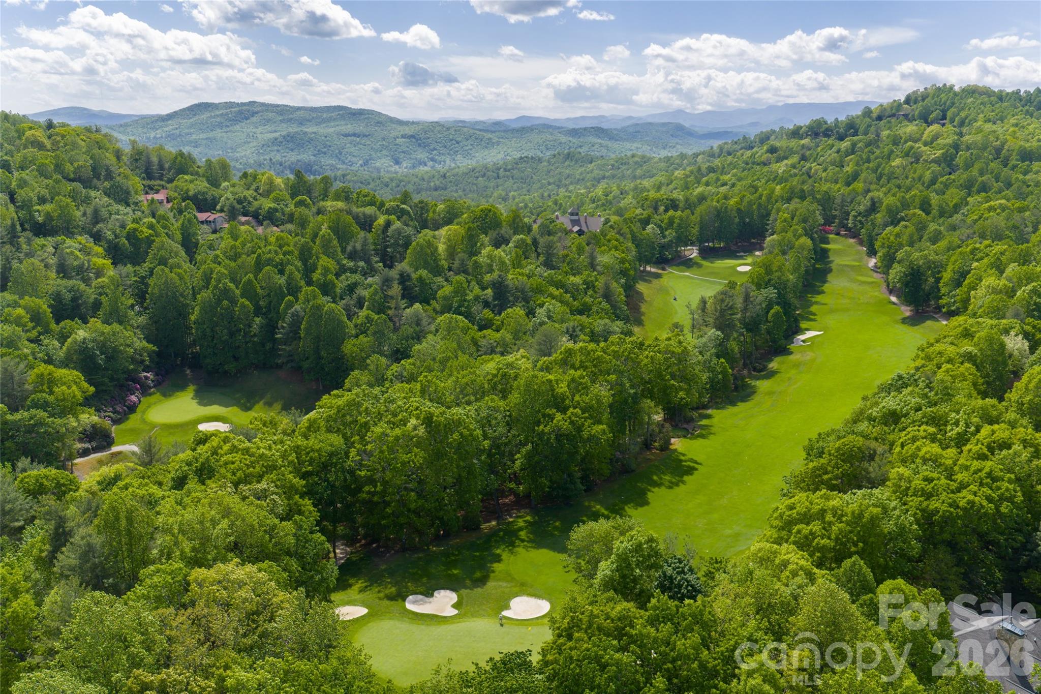 99 Little Cherokee Ridge — Hendersonville