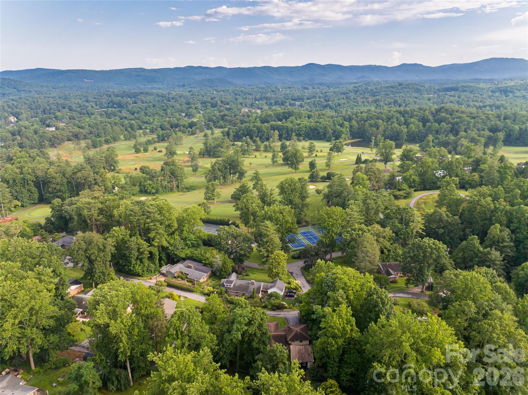 300 White Pine Drive — Hendersonville