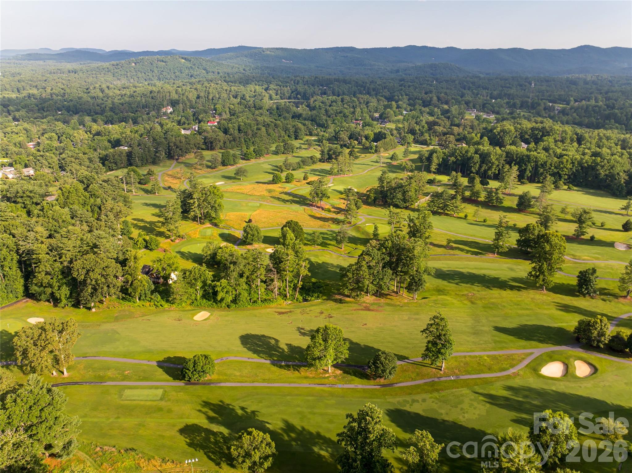 300 White Pine Drive — Hendersonville