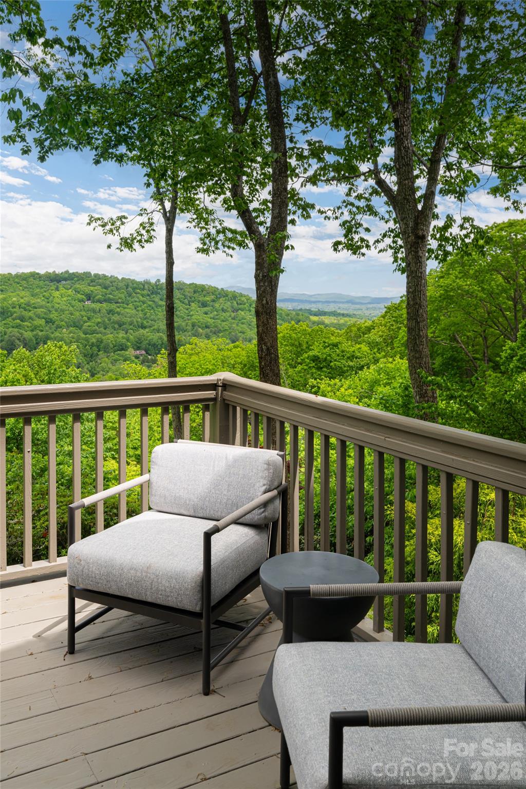 12 Spring Ridge Lane — Hendersonville