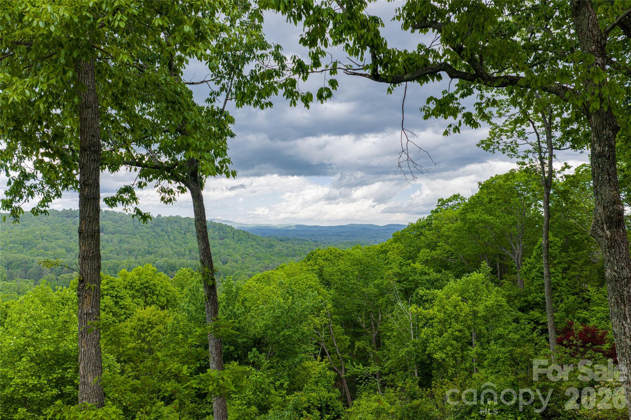 12 Spring Ridge Lane — Hendersonville