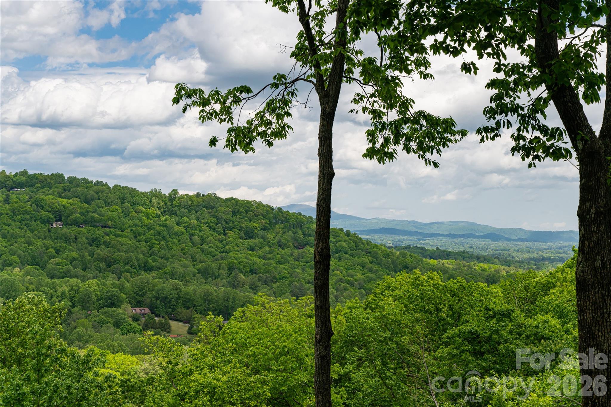 12 Spring Ridge Lane — Hendersonville