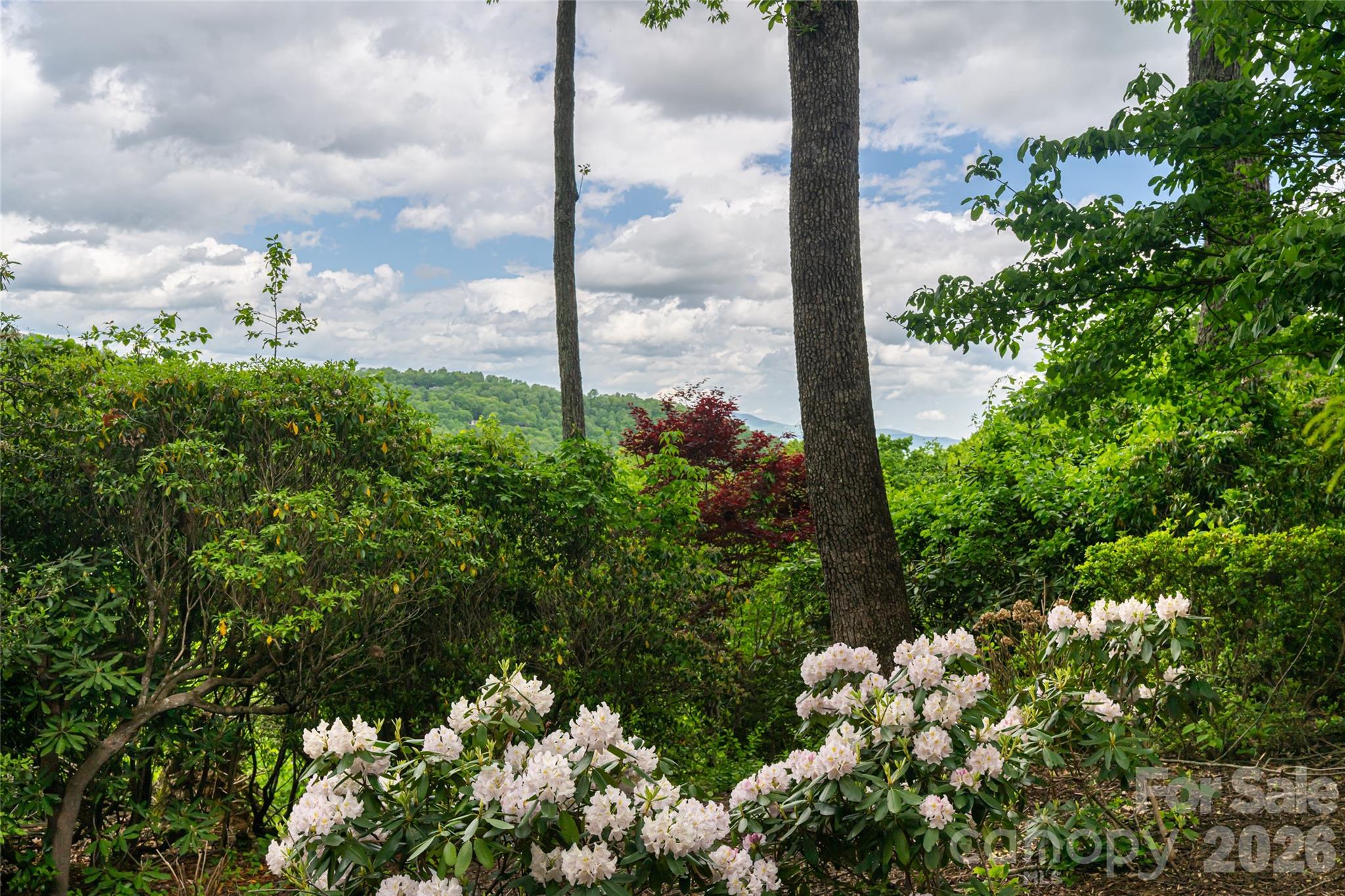 12 Spring Ridge Lane — Hendersonville