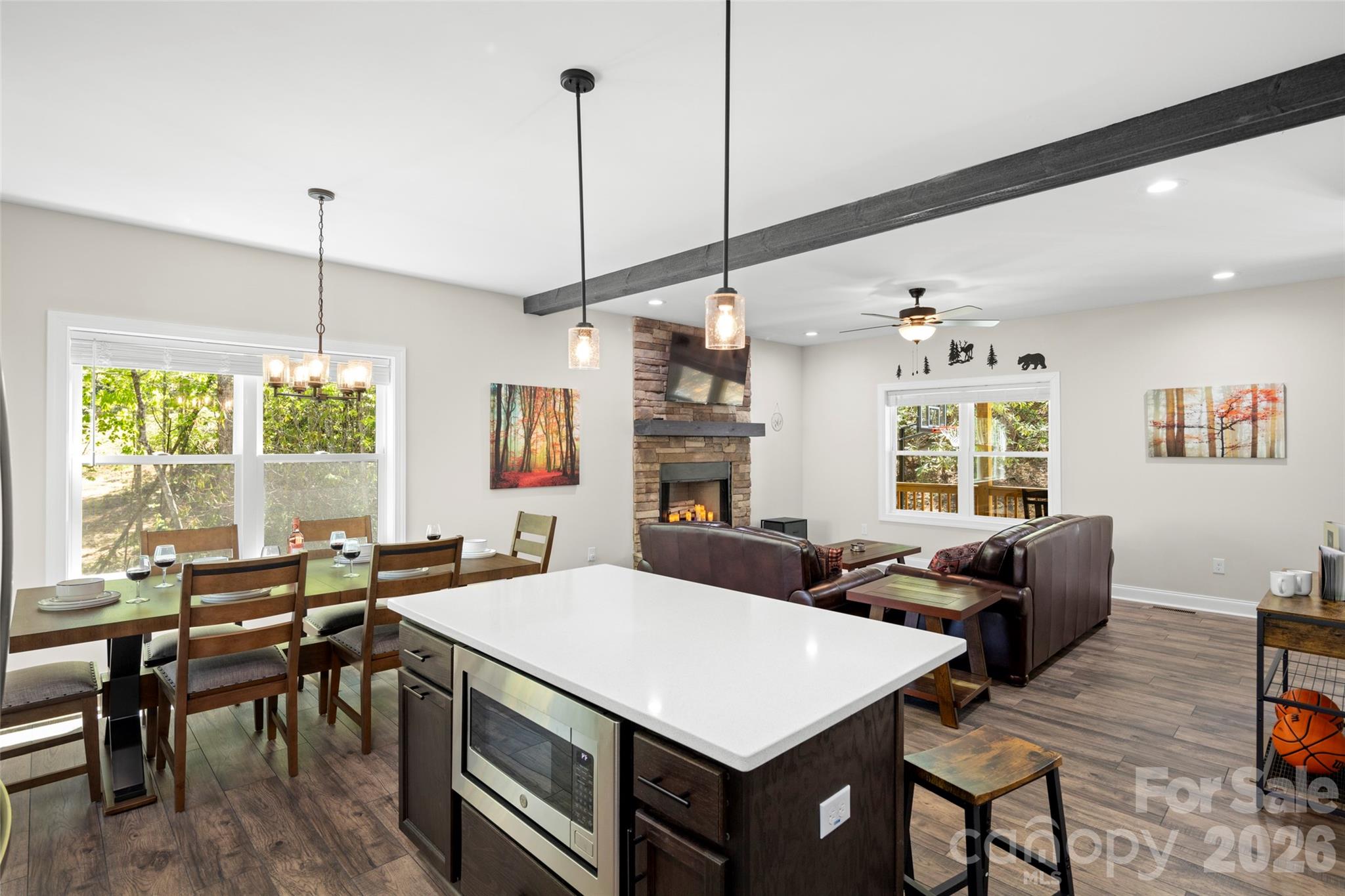233 Arcadia Falls Way — Black Mountain