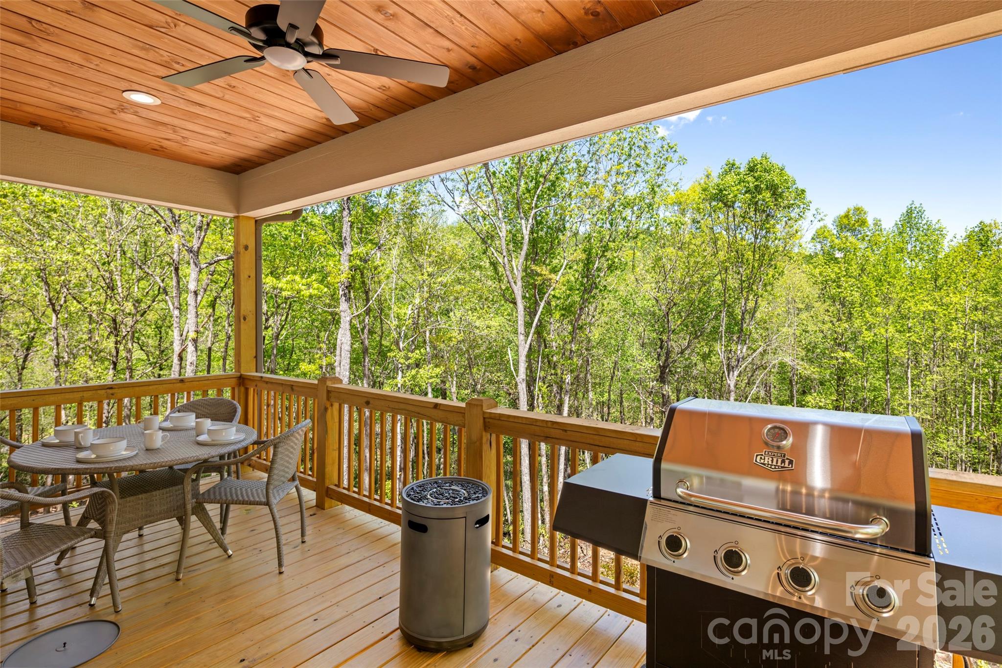 233 Arcadia Falls Way — Black Mountain