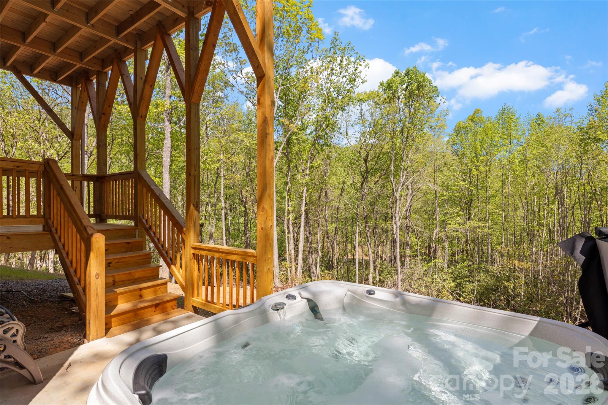 233 Arcadia Falls Way — Black Mountain