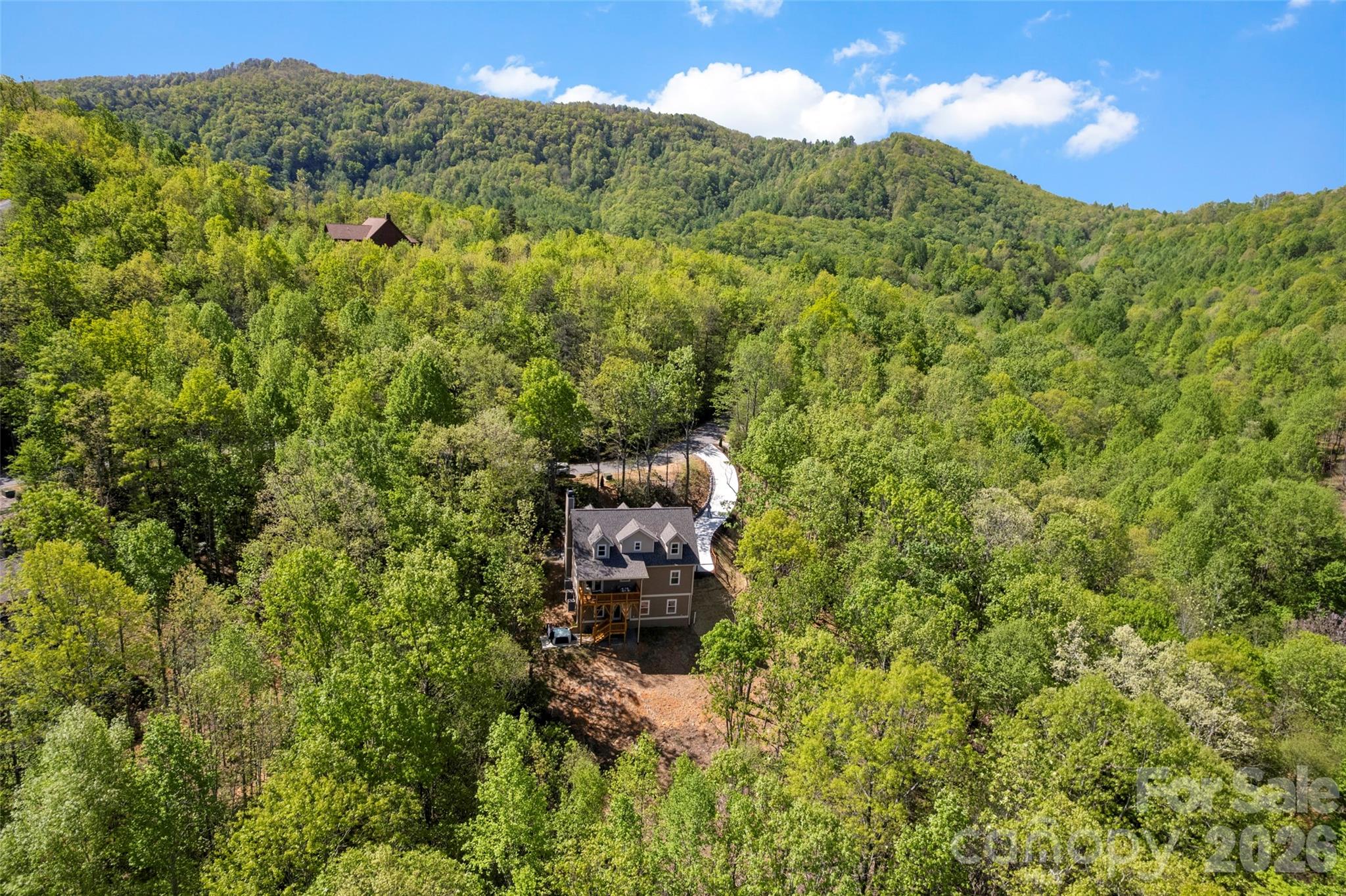 233 Arcadia Falls Way — Black Mountain