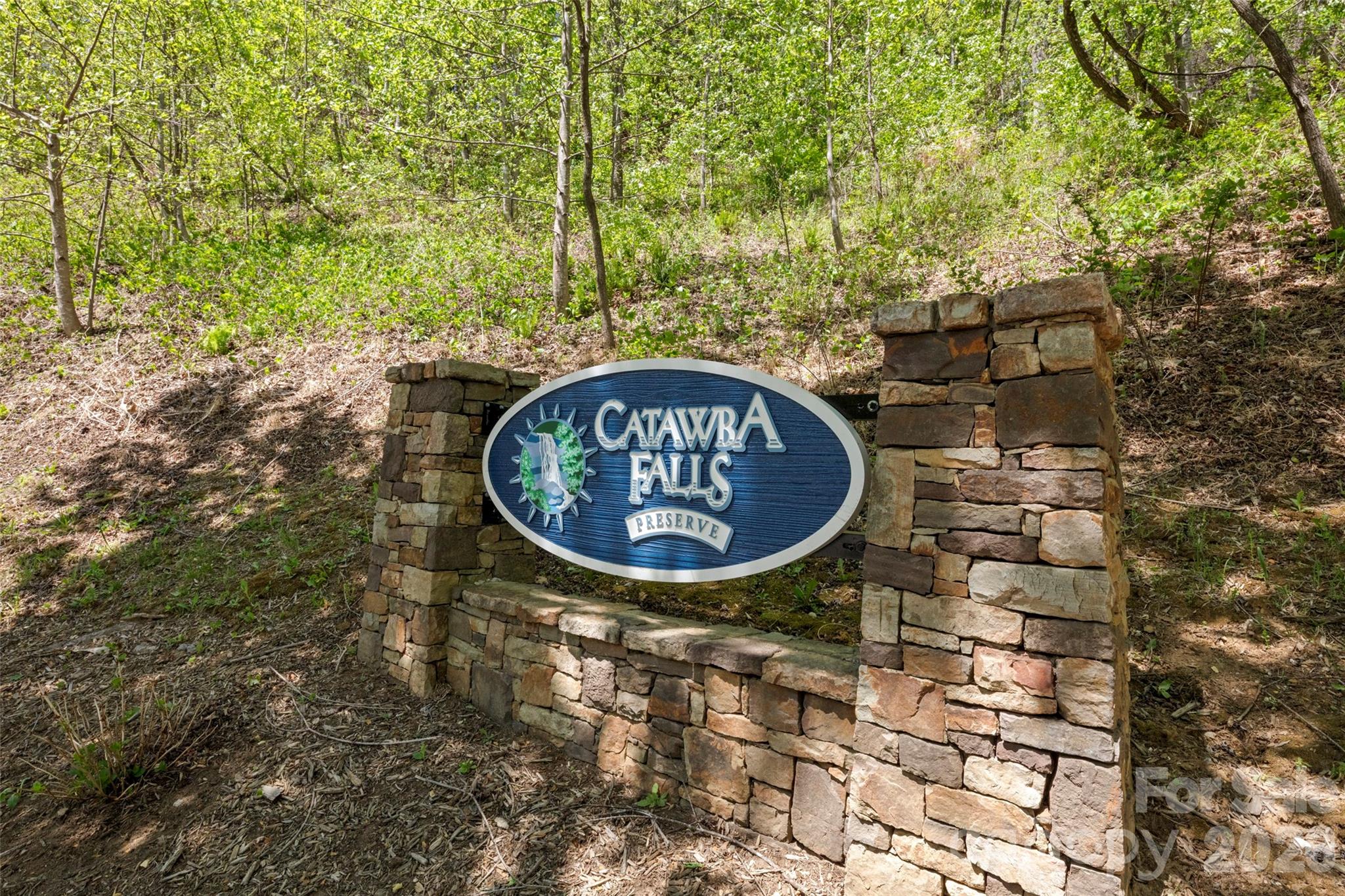 233 Arcadia Falls Way — Black Mountain