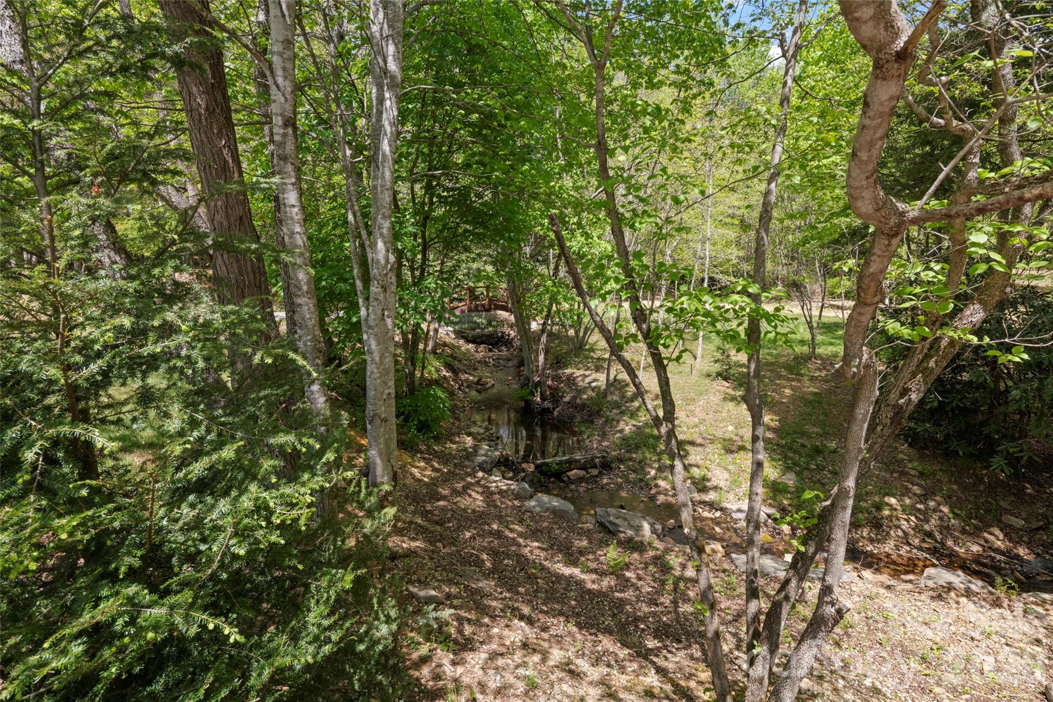 233 Arcadia Falls Way — Black Mountain