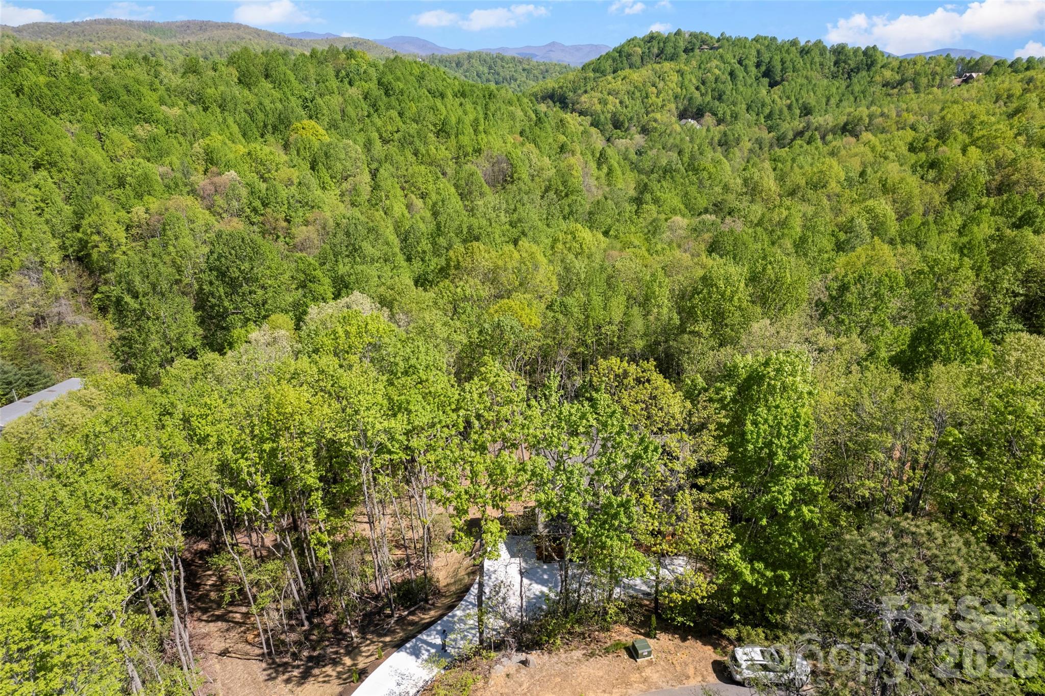 233 Arcadia Falls Way — Black Mountain