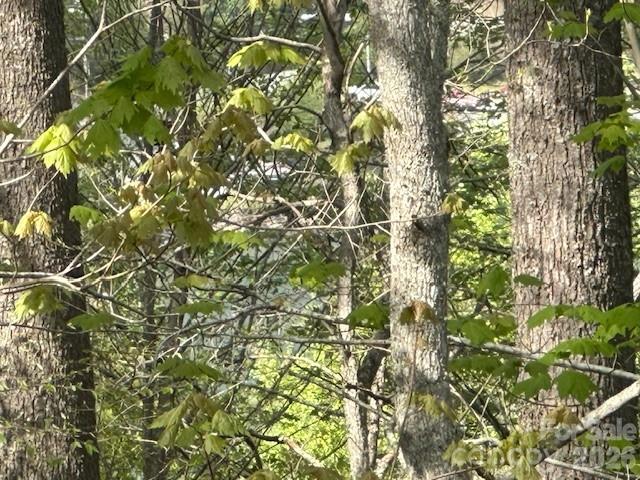 134 Mossy Ridge Road — Cullowhee