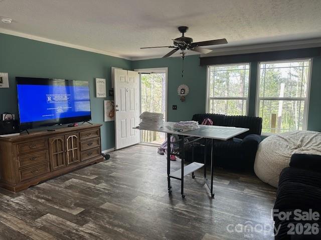 134 Mossy Ridge Road — Cullowhee