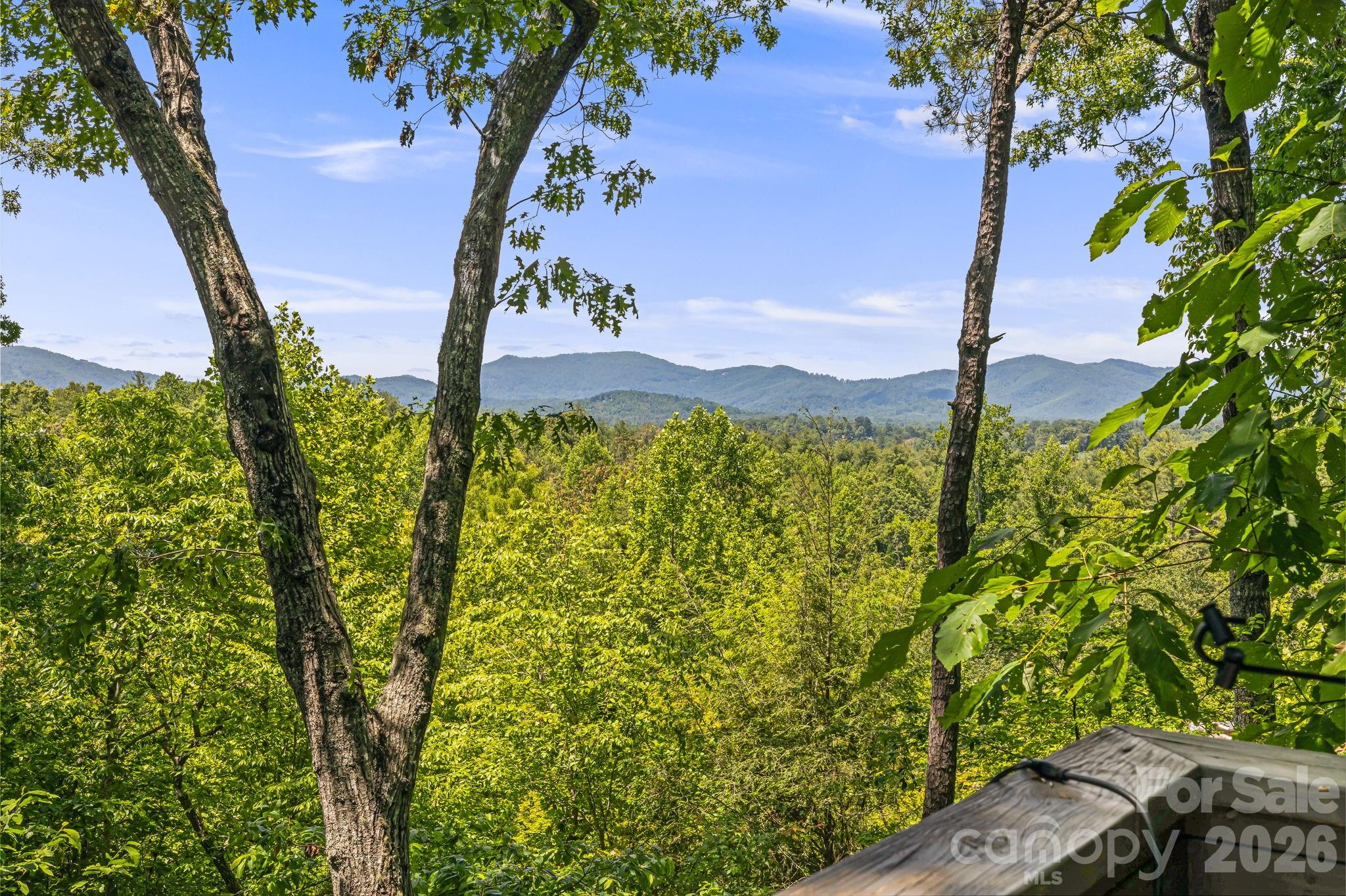 5 Saddle Ridge — Fletcher