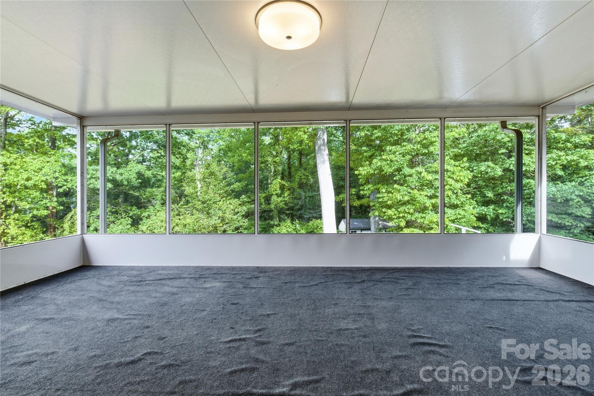 123 Castleton Lane — Hendersonville
