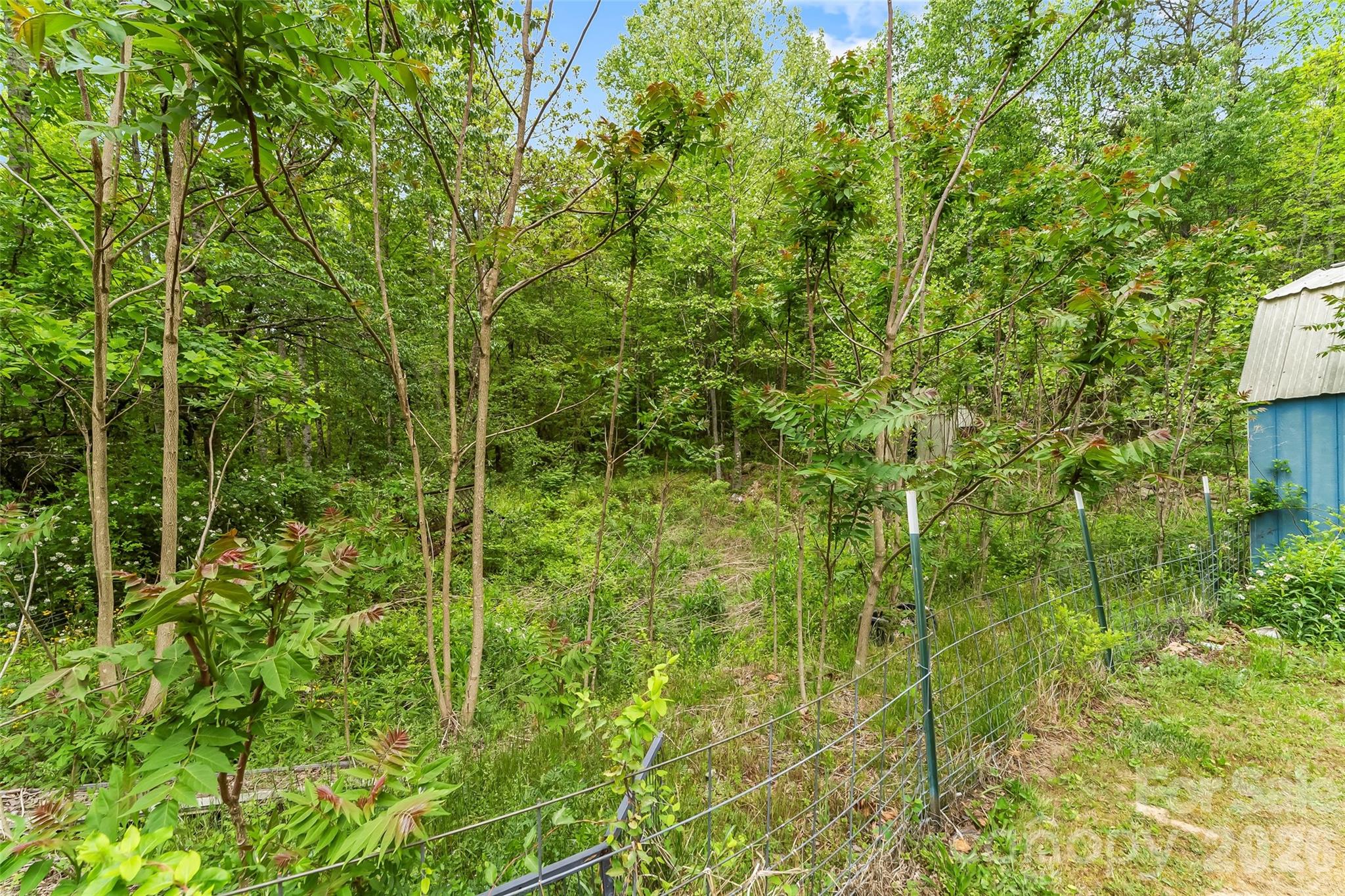 1000 Mountain View Church Road — Zirconia
