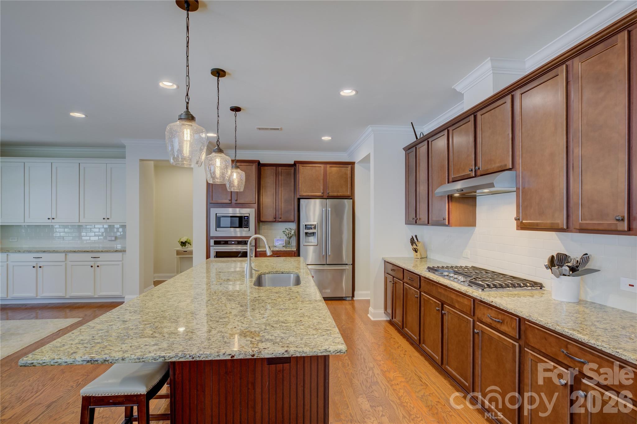 15420 Cimarron Hills Lane — Charlotte