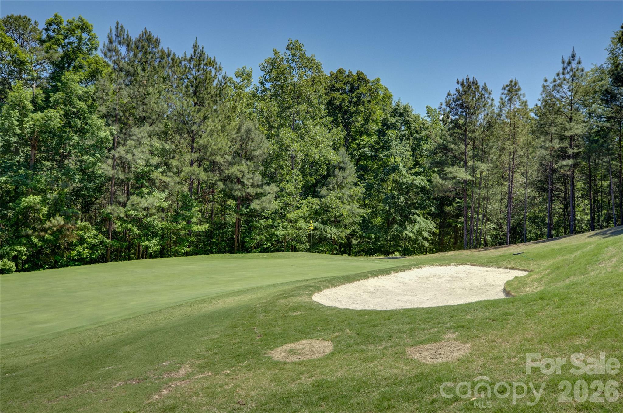 15420 Cimarron Hills Lane — Charlotte