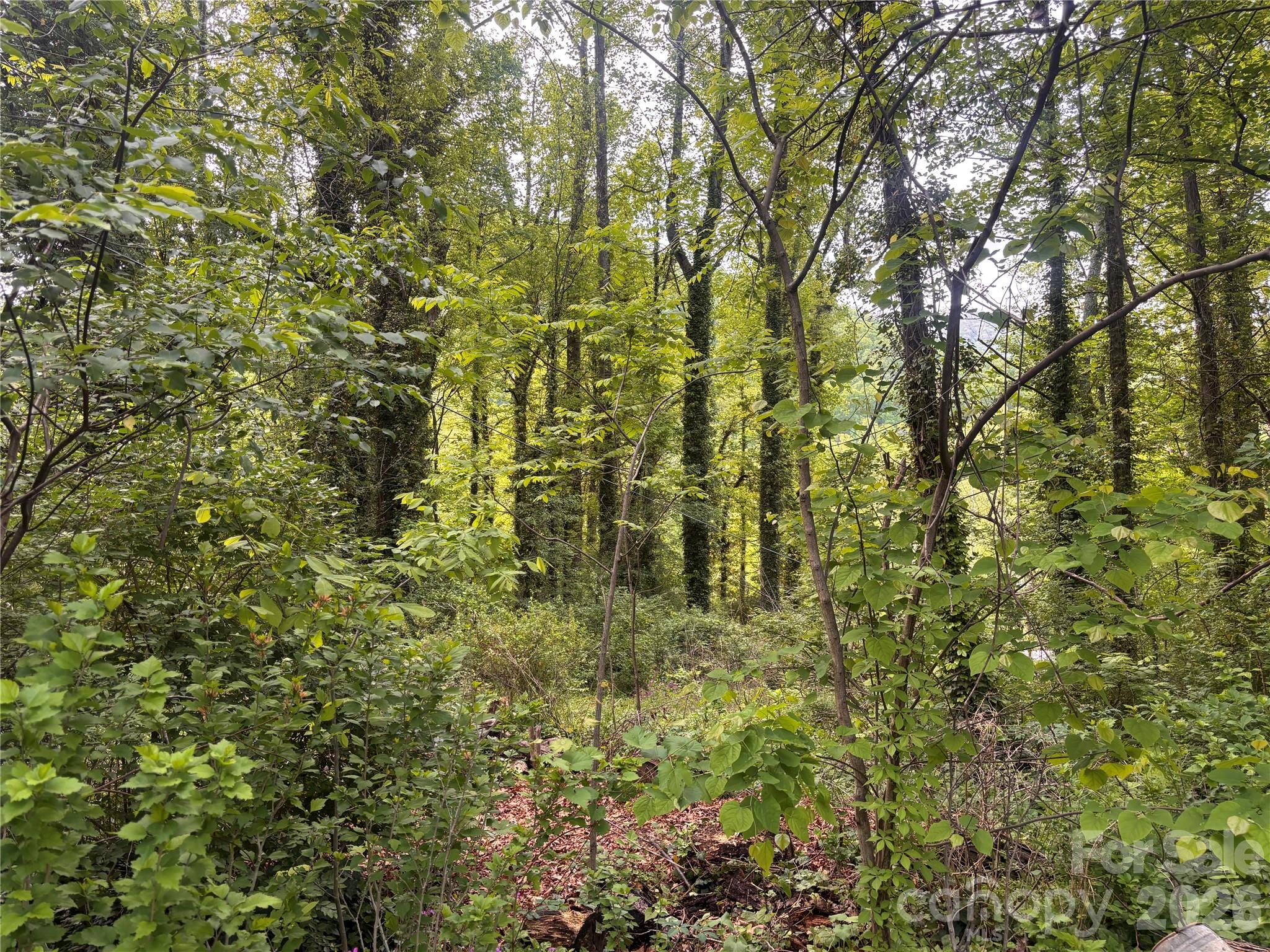 45 Briggs Road — Asheville