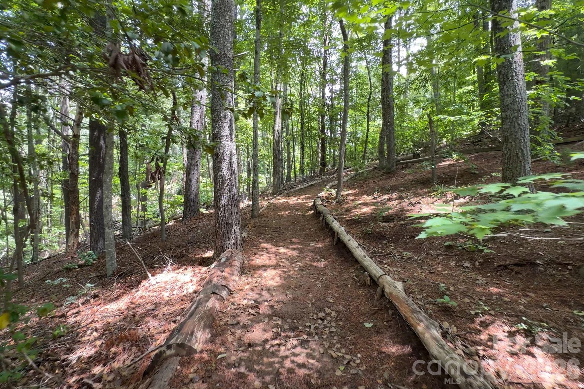 153 Skyview Circle — Asheville