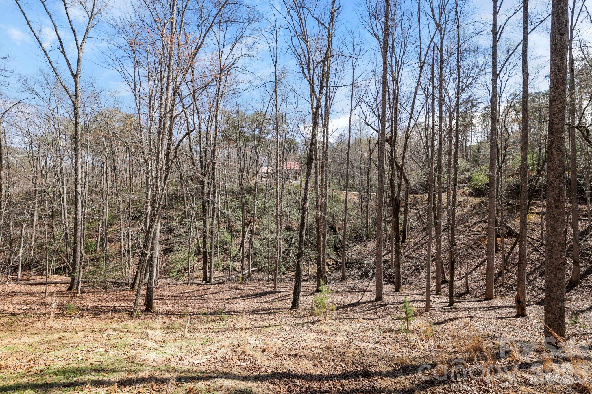 344 Wolf Trail — Lake Lure