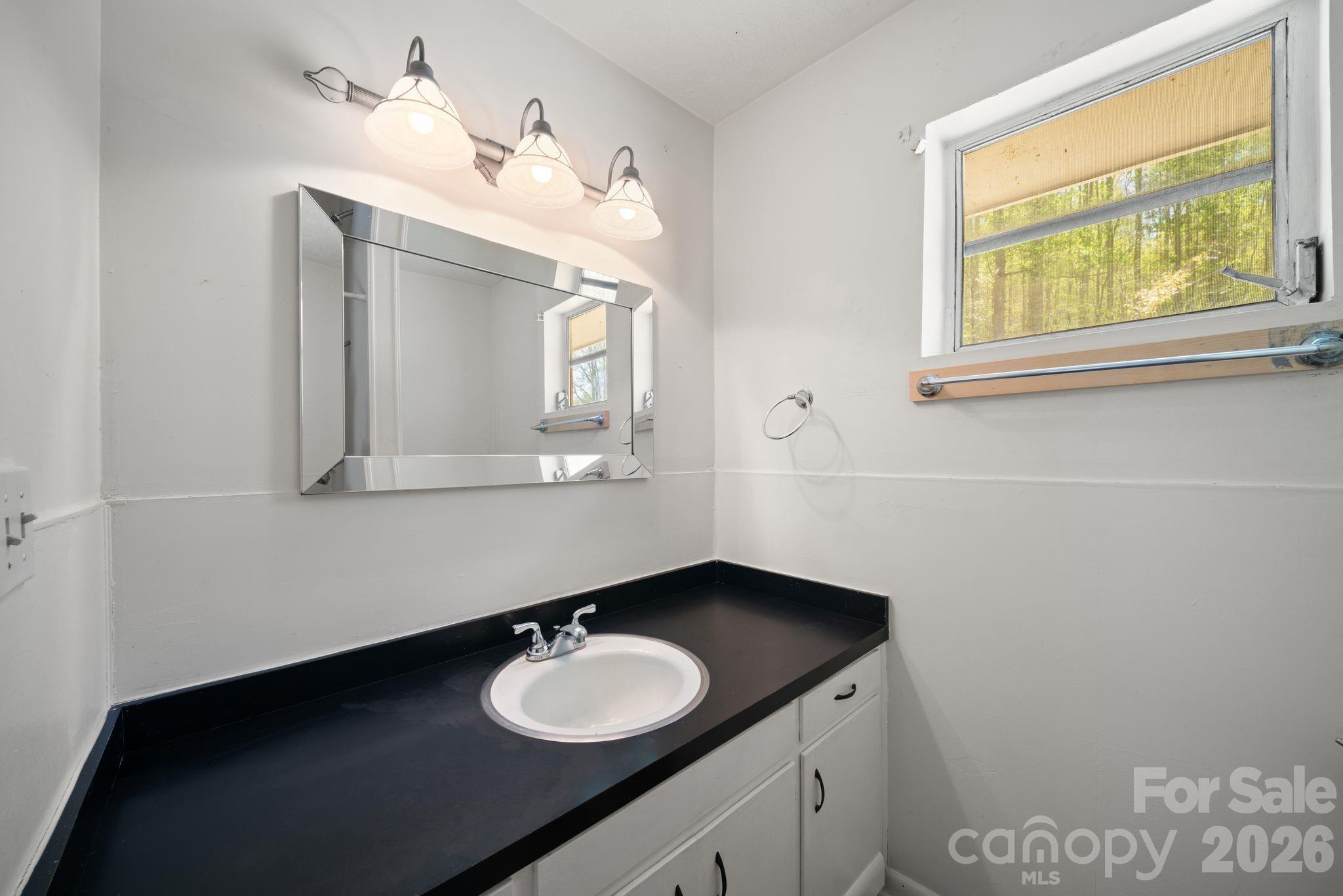 290 Hookers Gap Road — Candler