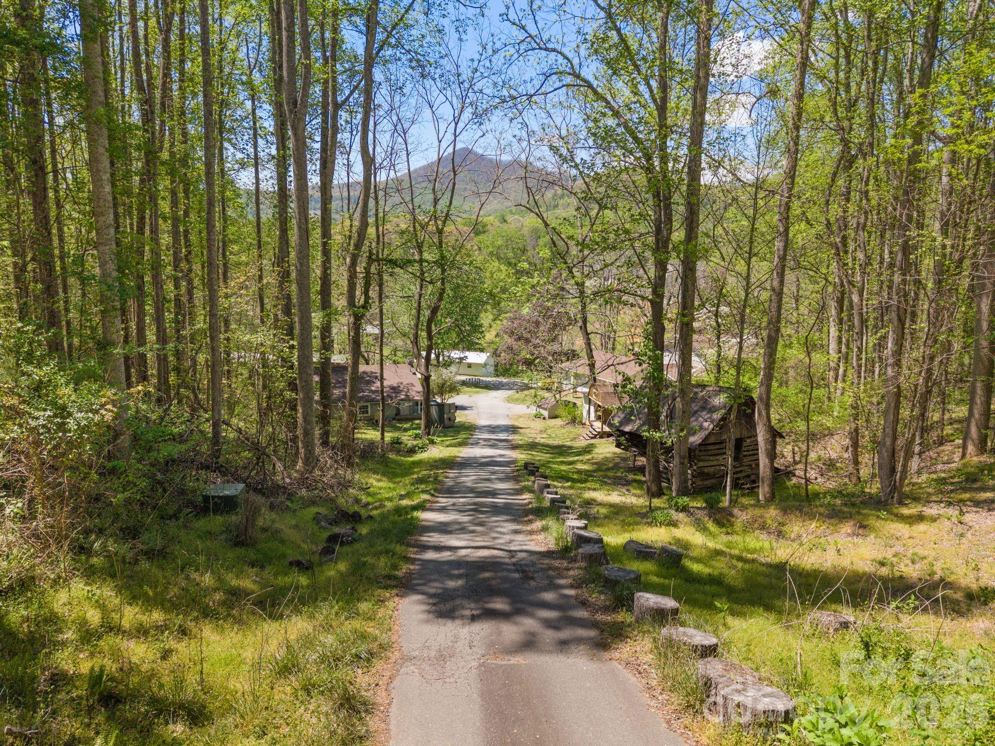 290 Hookers Gap Road — Candler