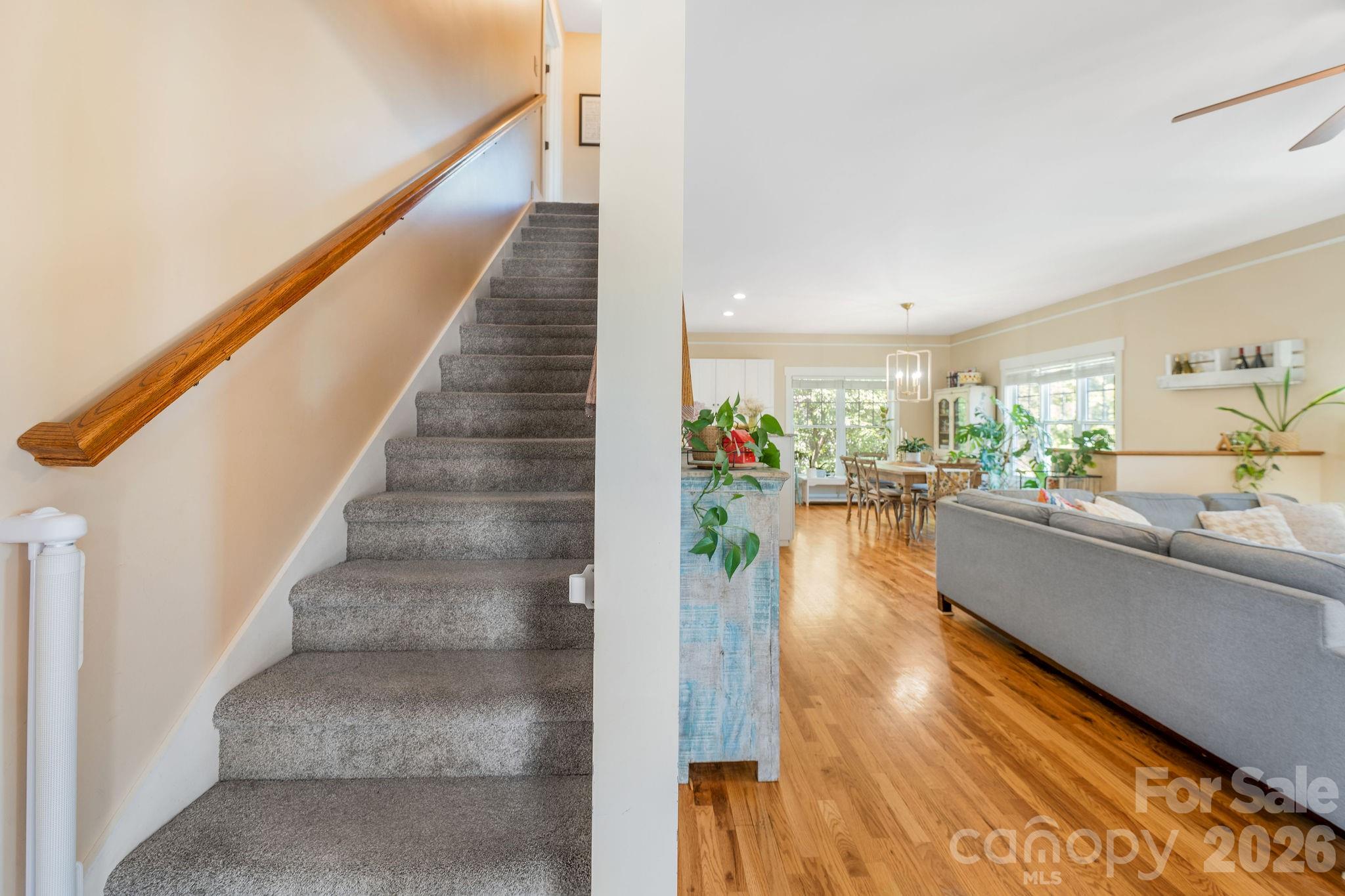 157 Estelle Park Drive — Asheville