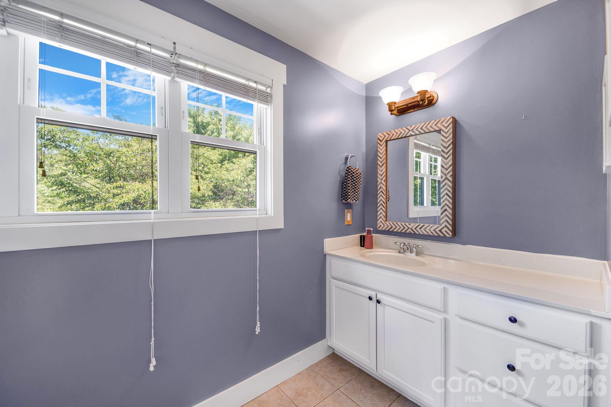 157 Estelle Park Drive — Asheville